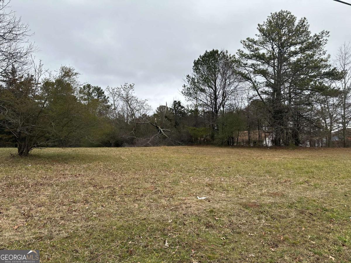 0 Flat Shoals Road Se Property Photo 2