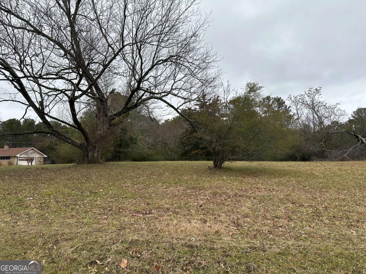0 Flat Shoals Road Se Property Photo 3