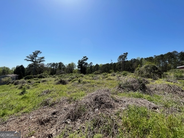 7249 Factory Shoals Road Property Photo 6