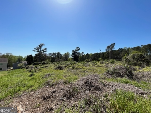 7249 Factory Shoals Road Property Photo 7