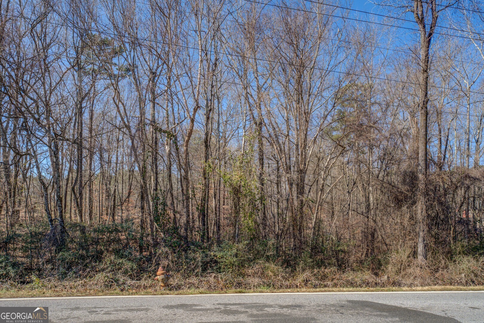 0 Cook Road Lot 26 Property Photo 26