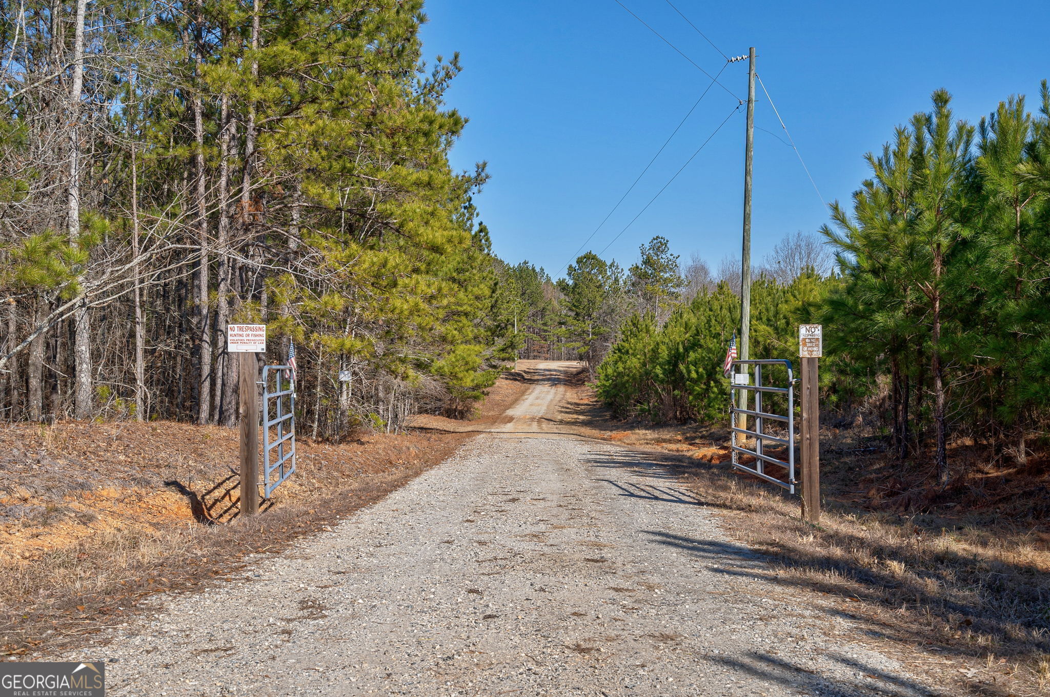 1553 Washington Road Property Photo 3