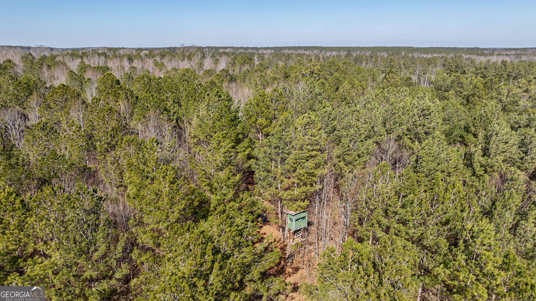 1553 Washington Road Property Photo 7