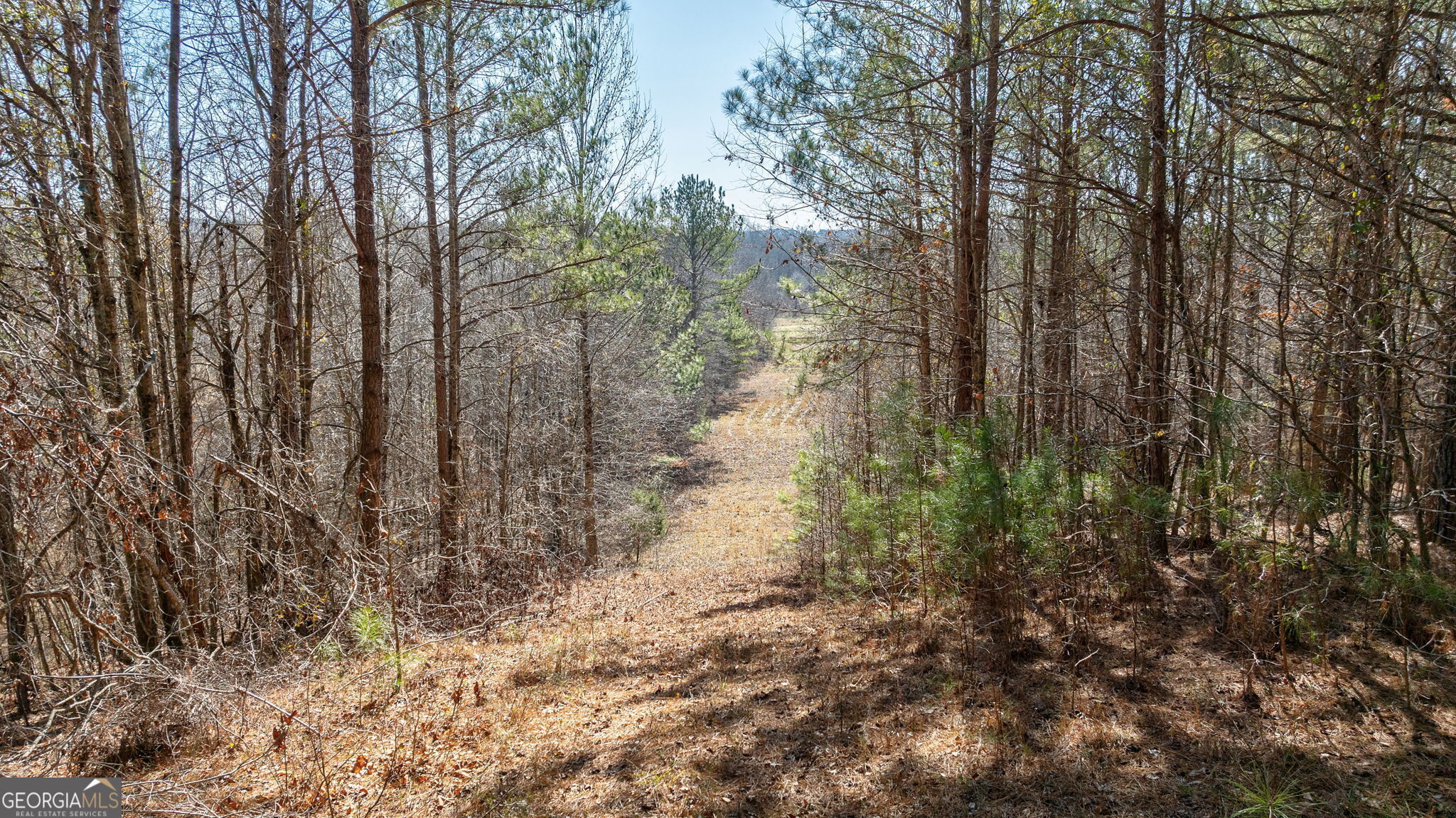 1553 Washington Road Property Photo 11