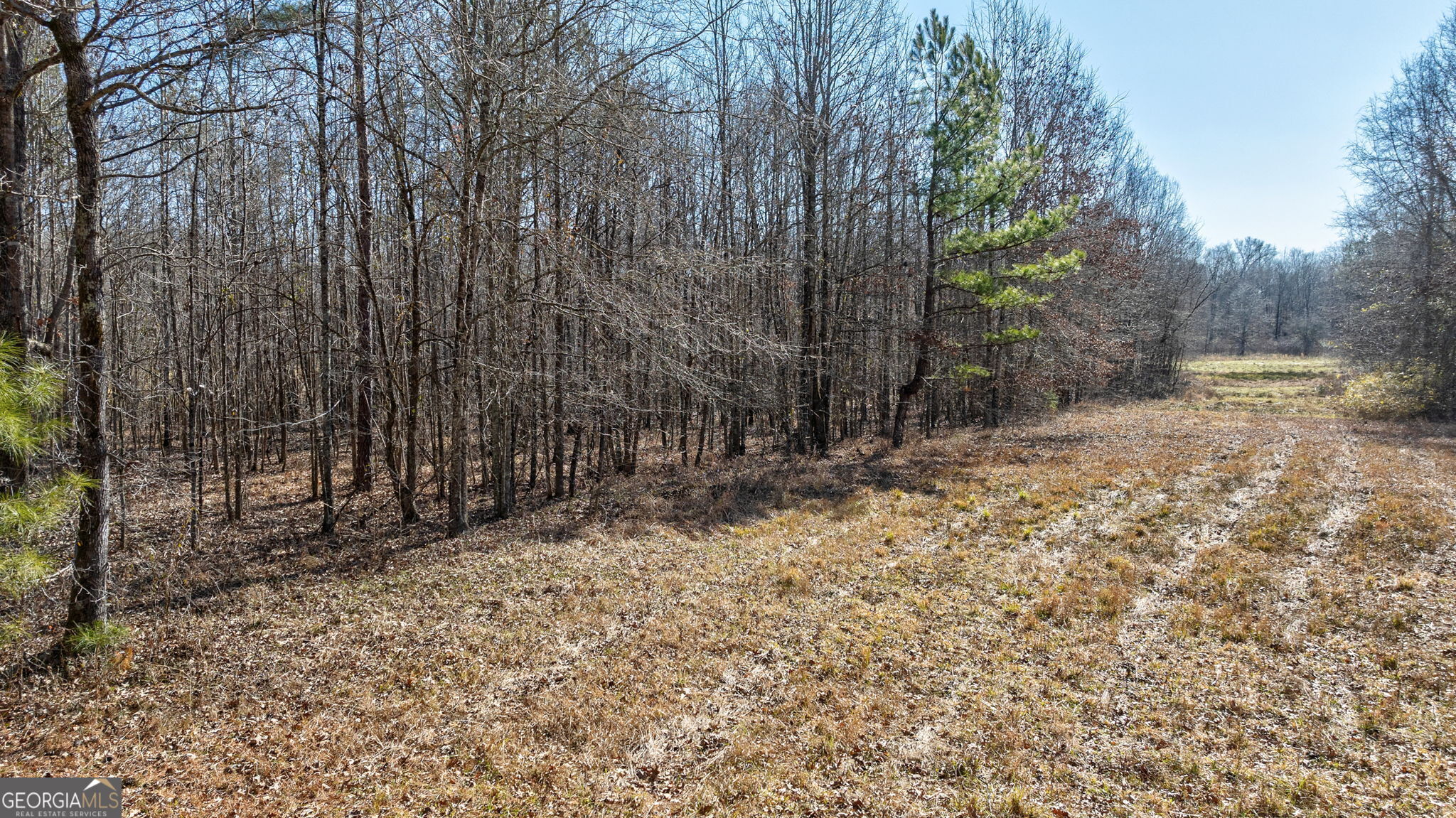 1553 Washington Road Property Photo 12
