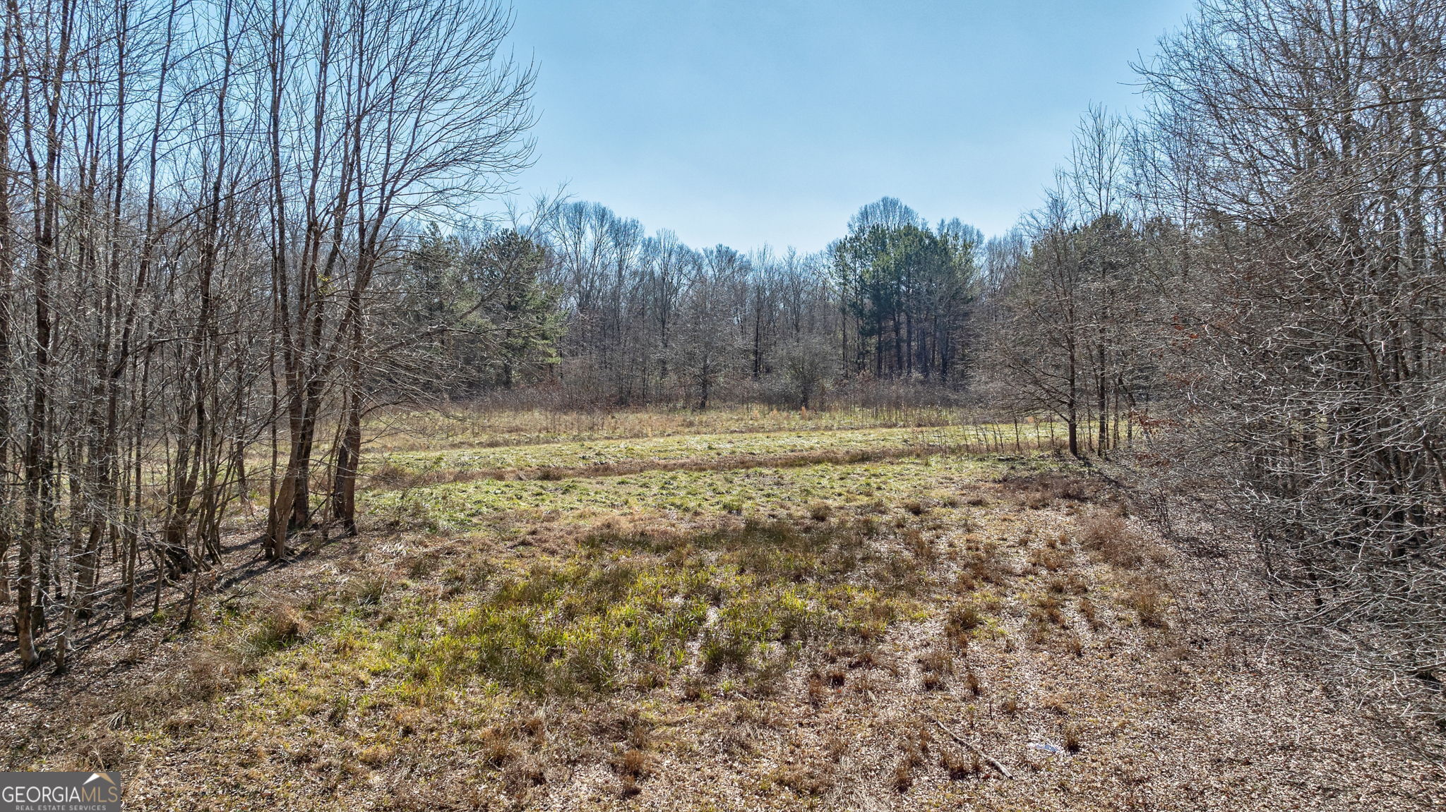 1553 Washington Road Property Photo 13