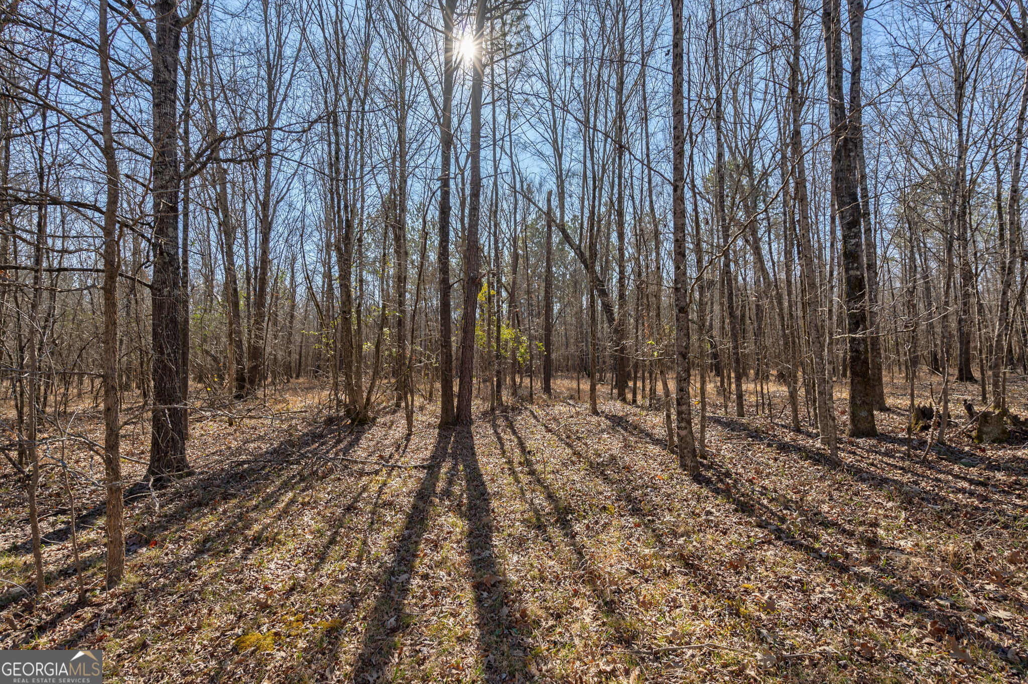1553 Washington Road Property Photo 17
