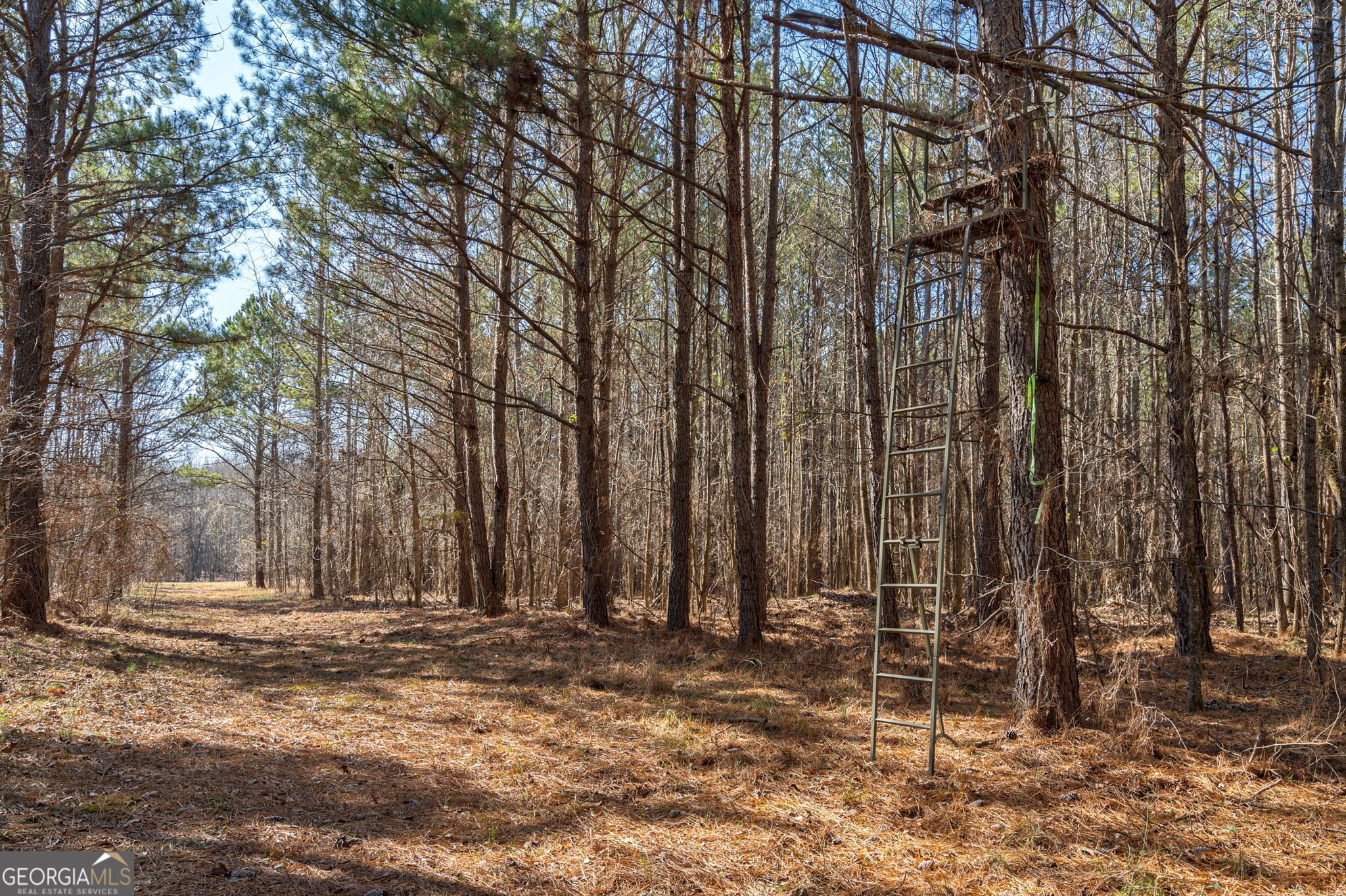1553 Washington Road Property Photo 18