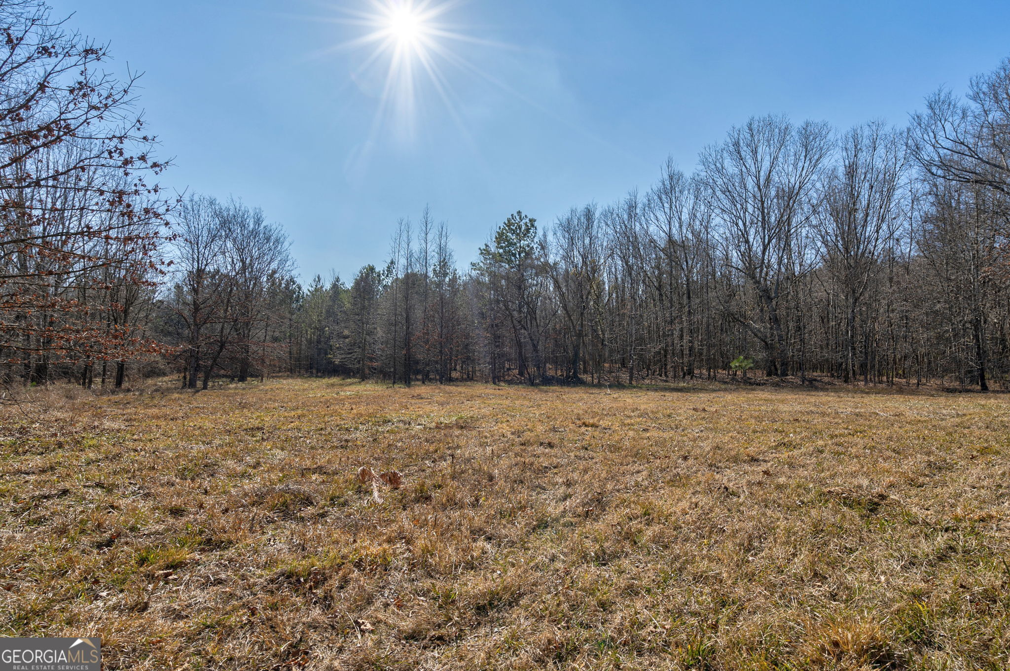 1553 Washington Road Property Photo 19
