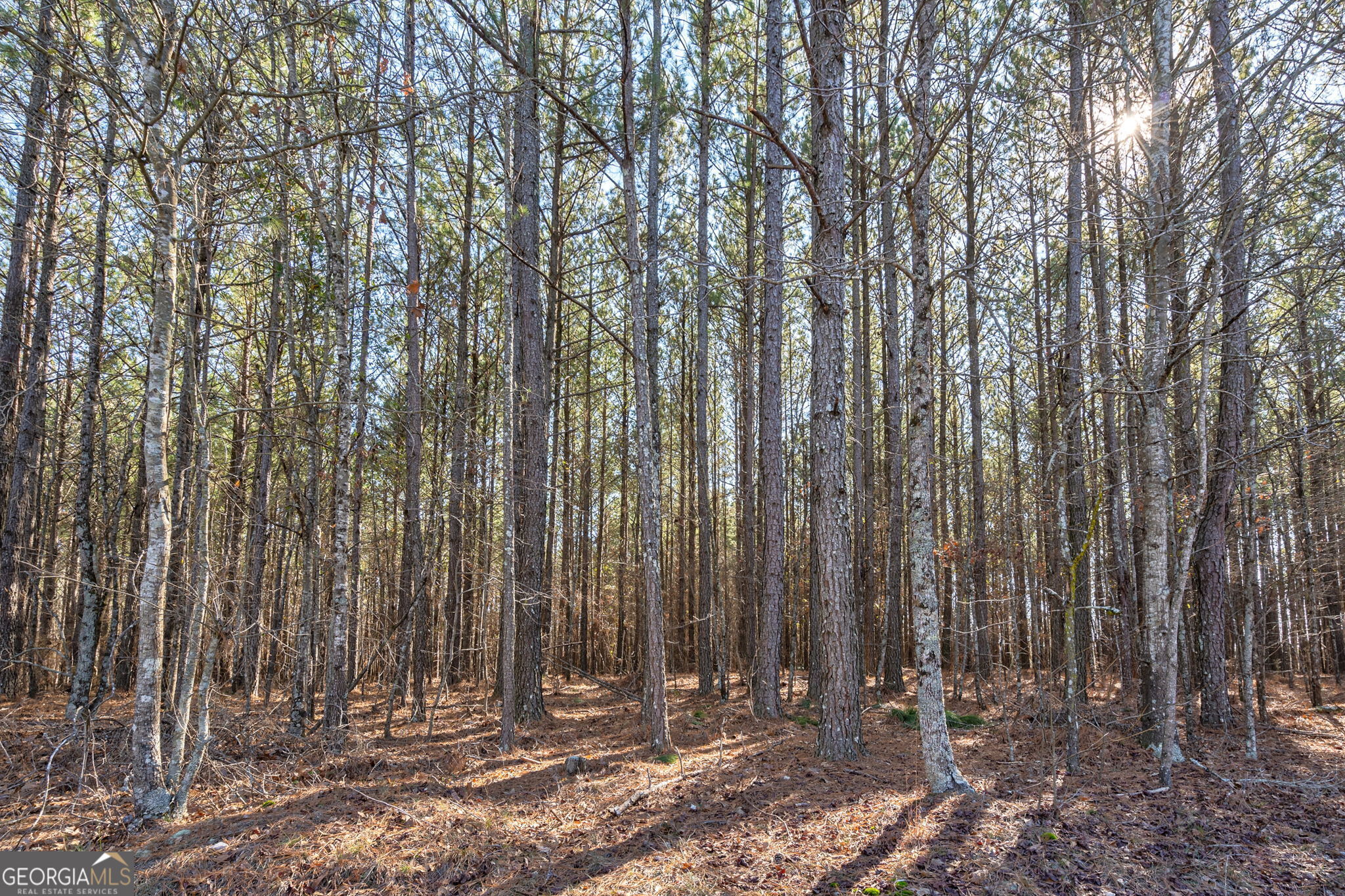 1553 Washington Road Property Photo 22