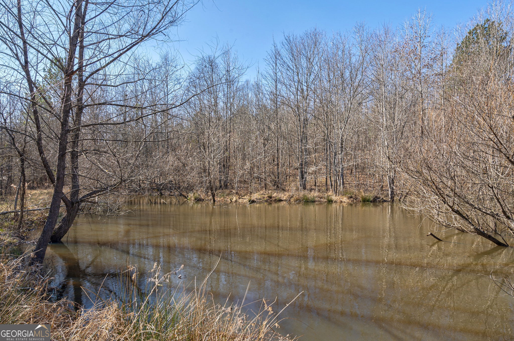 1553 Washington Road Property Photo 24