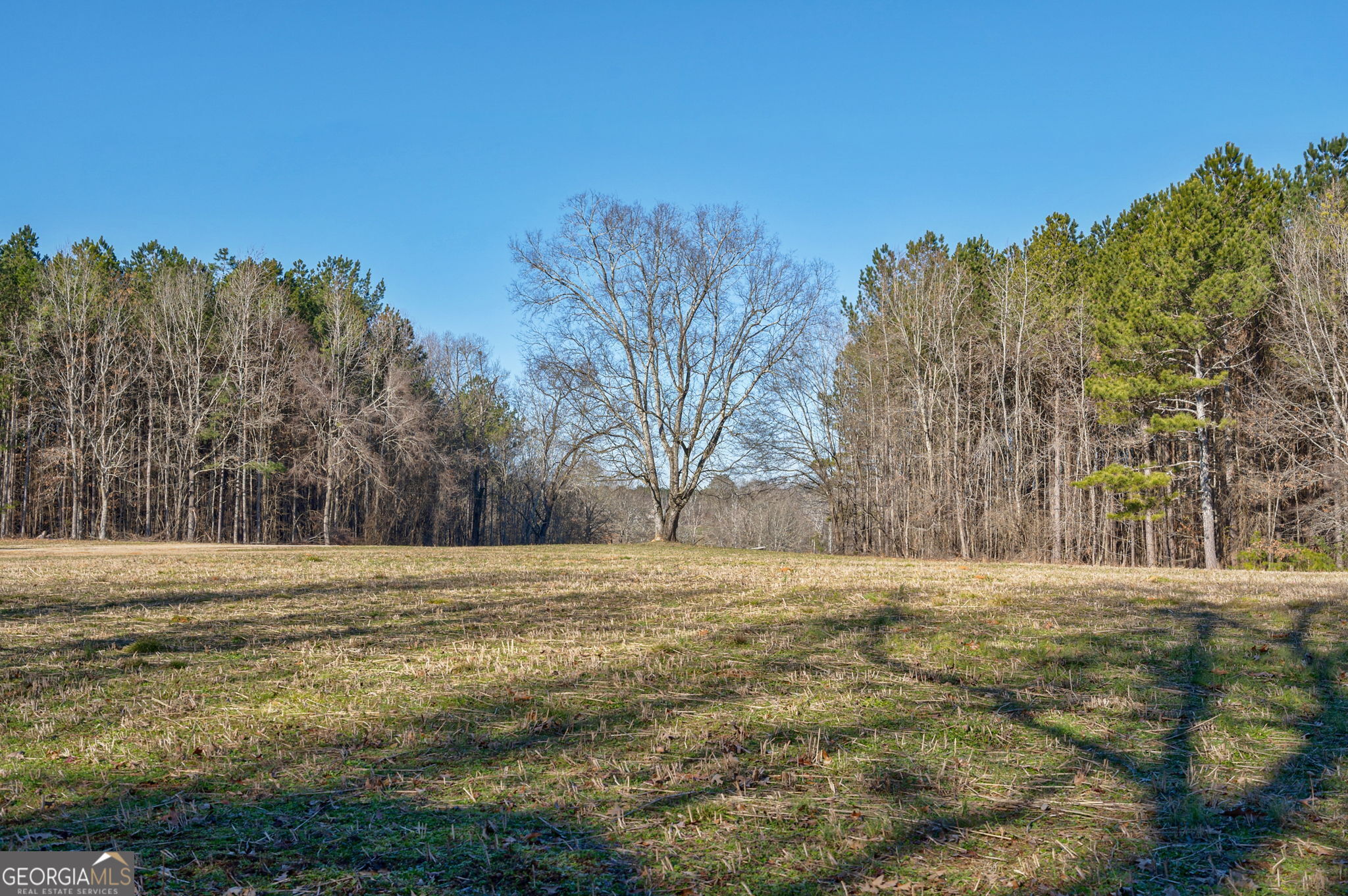 1553 Washington Road Property Photo 29