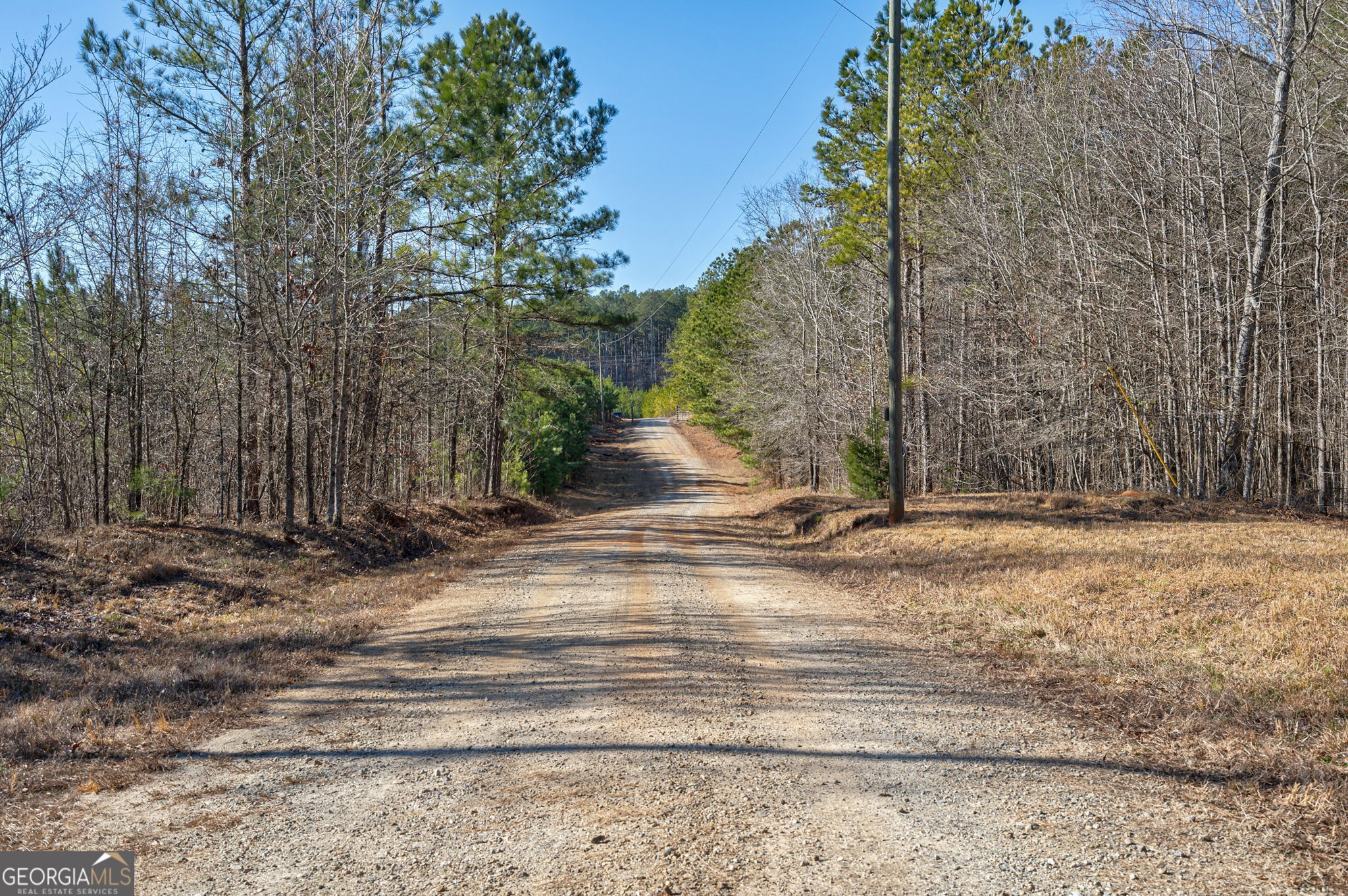 1553 Washington Road Property Photo 30