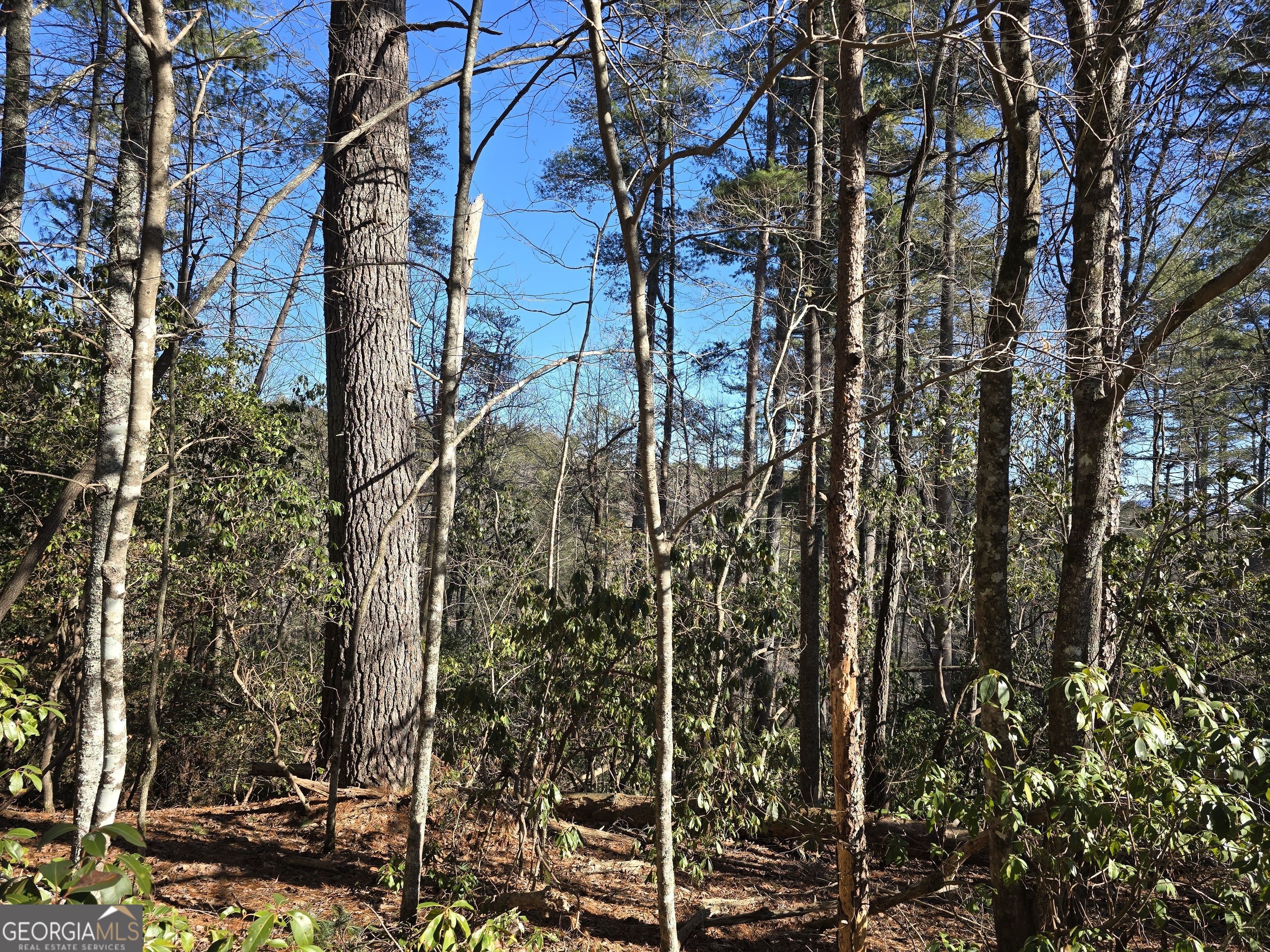 45k Blue Ridge Property Photo 1