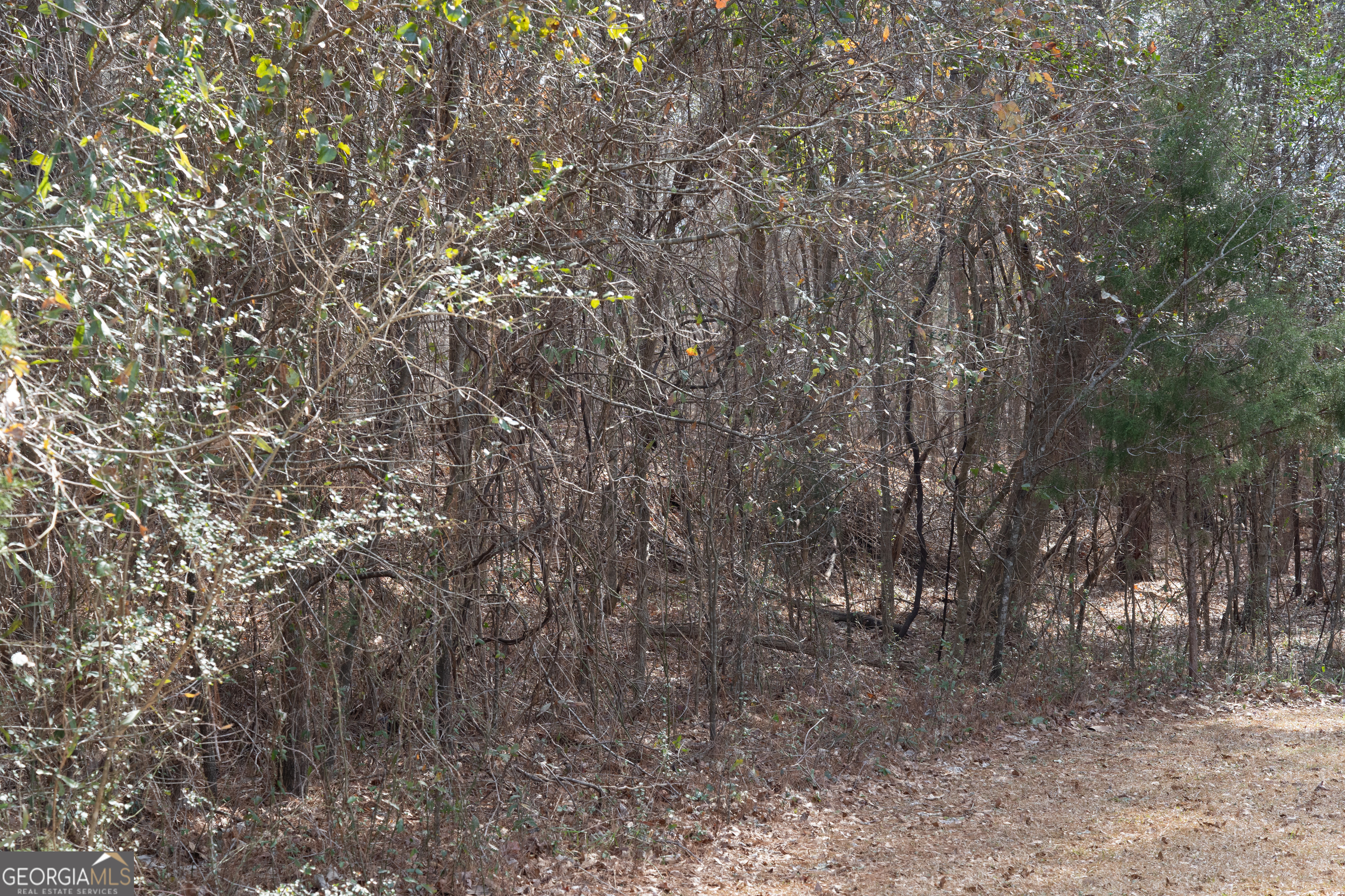 Lot 71 Monticello Road Property Photo 5