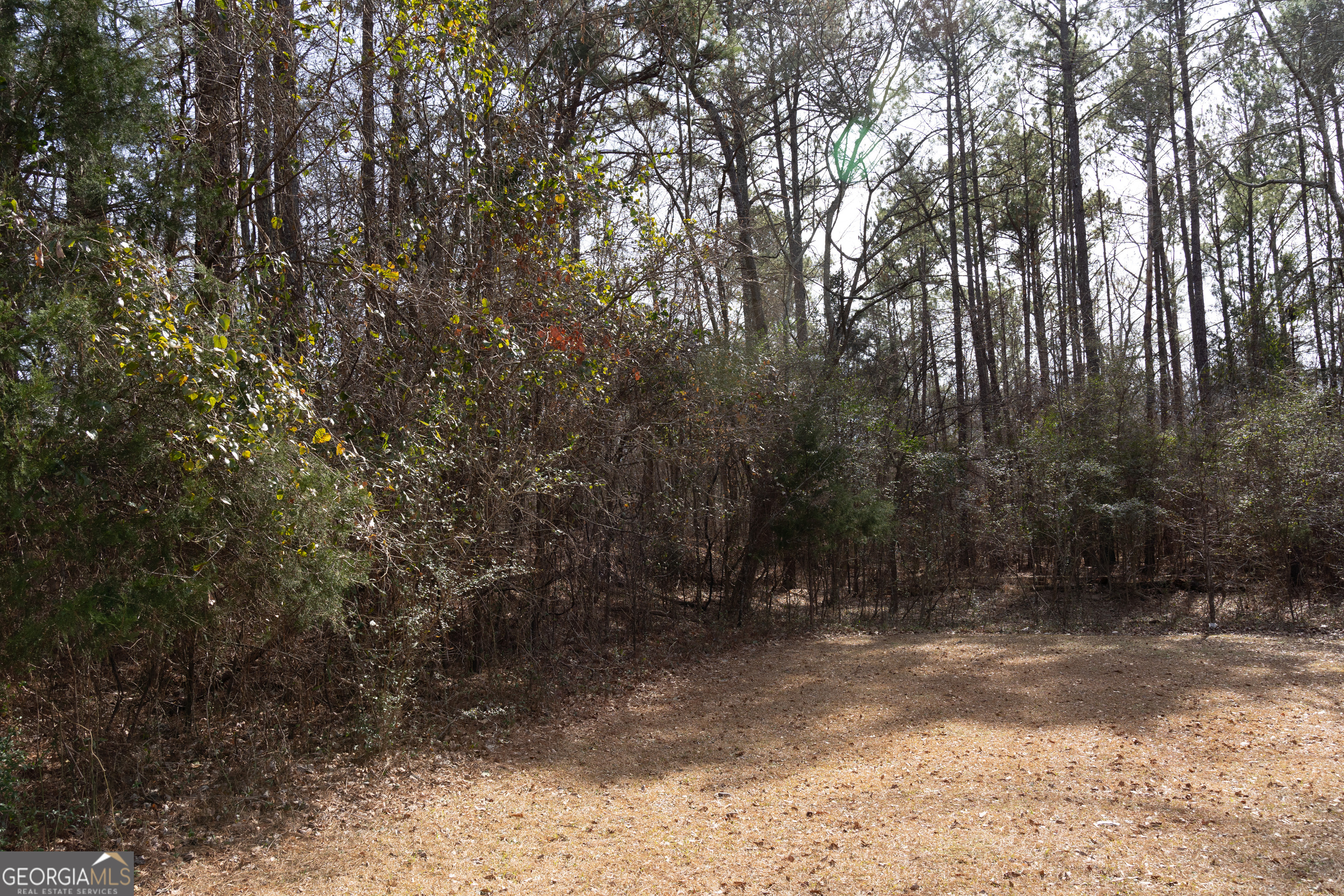 Lot 71 Monticello Road Property Photo 11