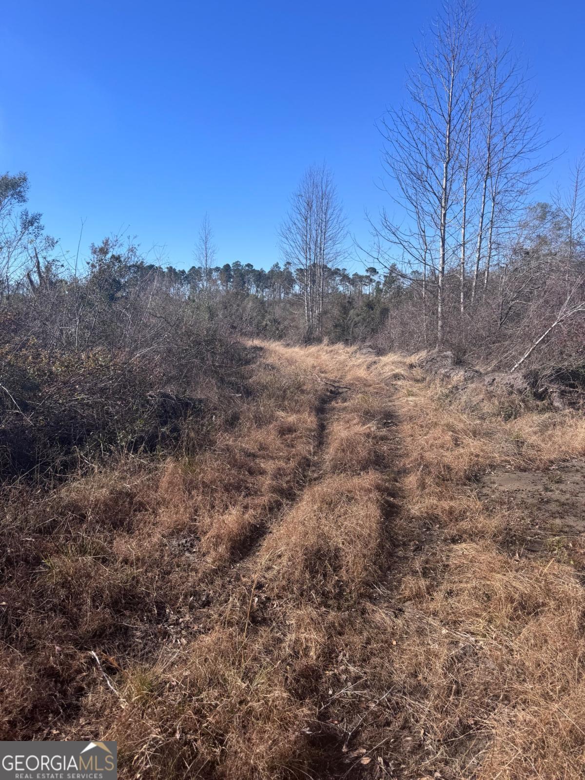 215 Spell Road Property Photo