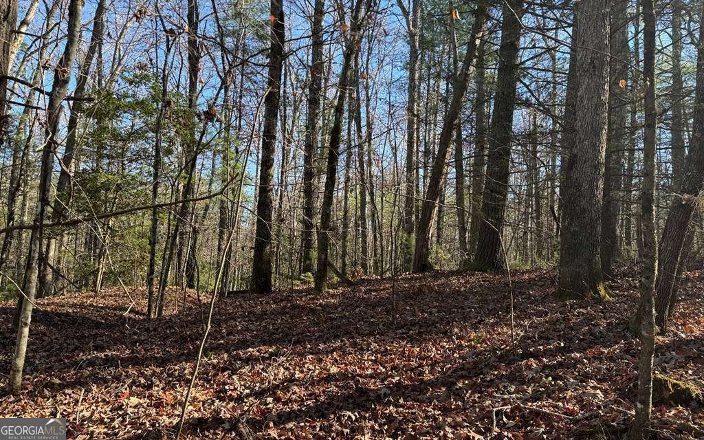 0 Mill Creek Acres Property Photo 1