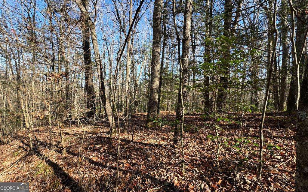0 Mill Creek Acres Property Photo 2