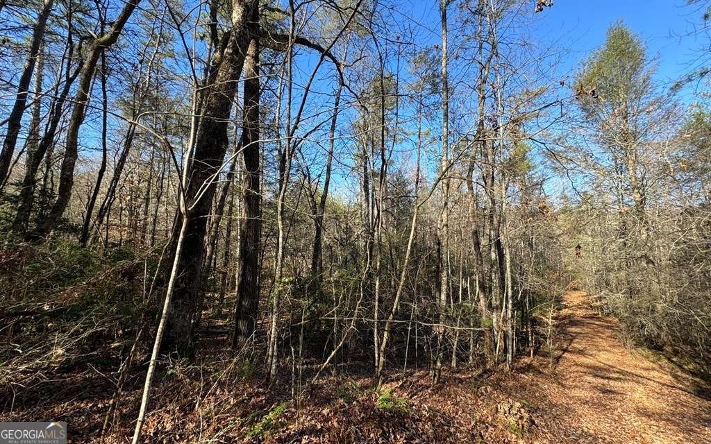 0 Mill Creek Acres Property Photo 3