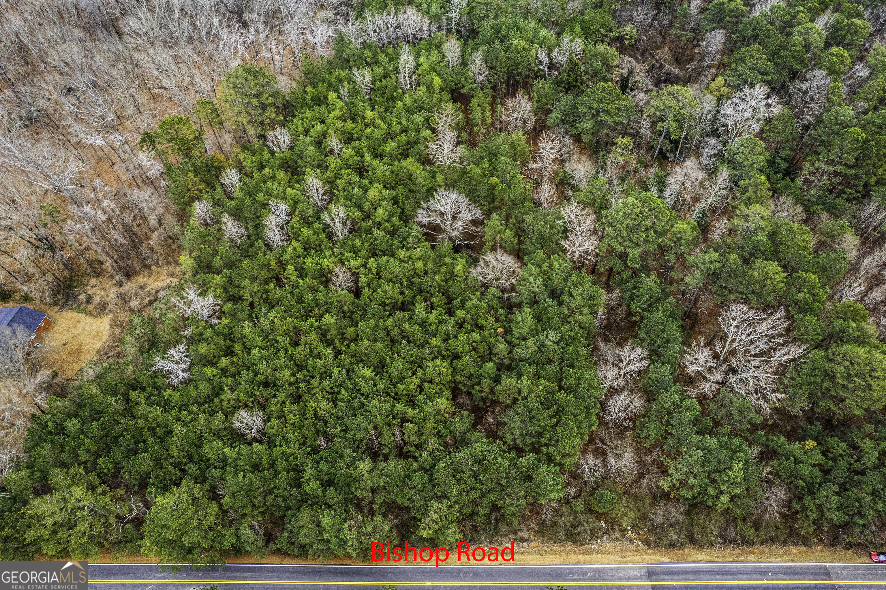 7000 Bishop Road Property Photo 7