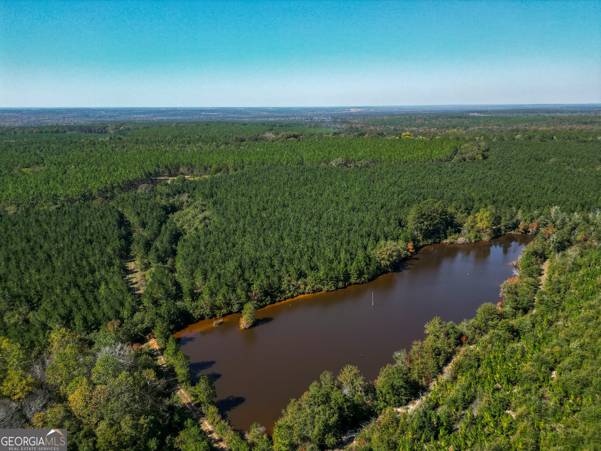 652 Acres Ga Hwy 45 S Property Photo