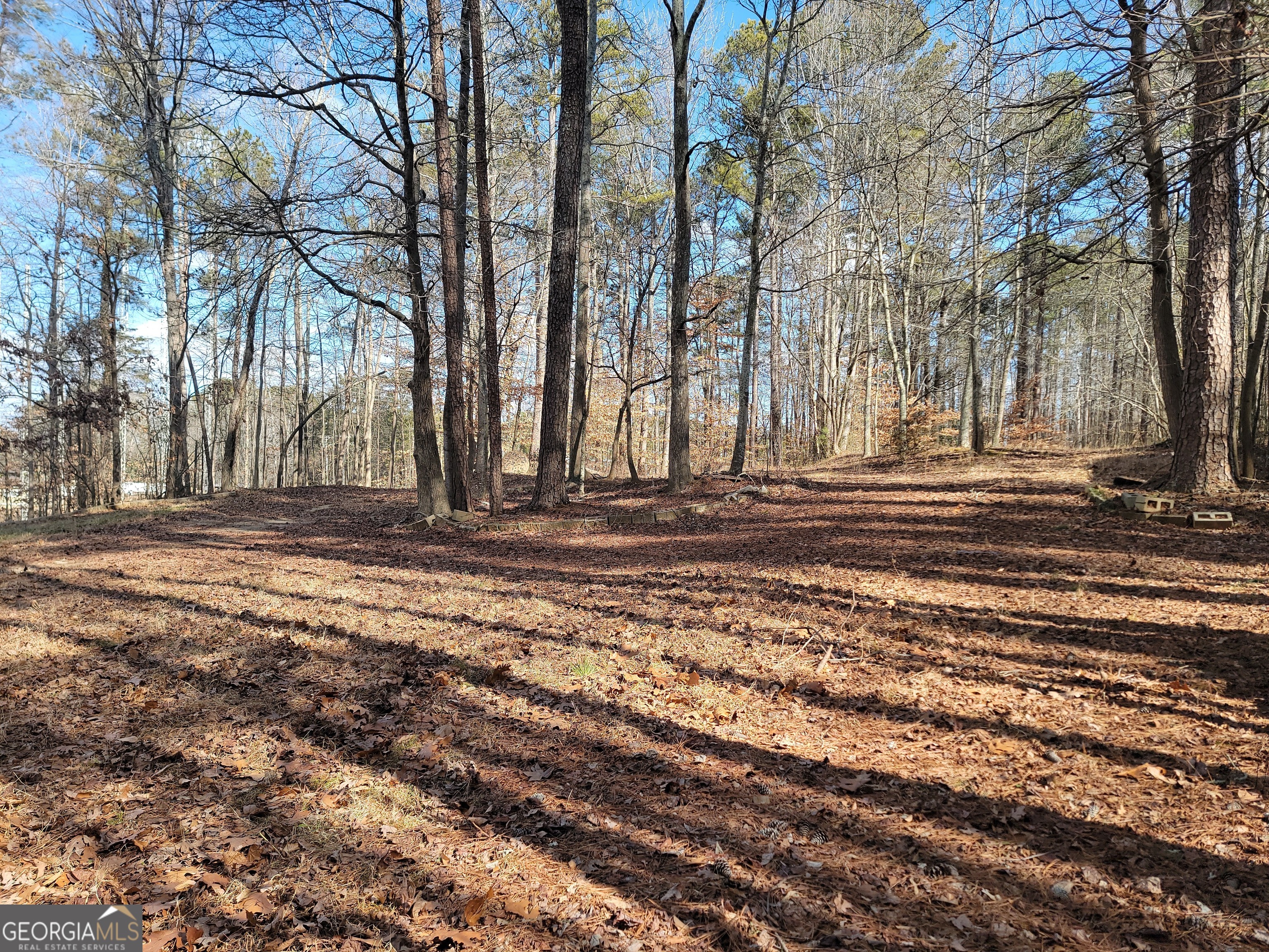 1855 S Flat Rock Road Property Photo 12