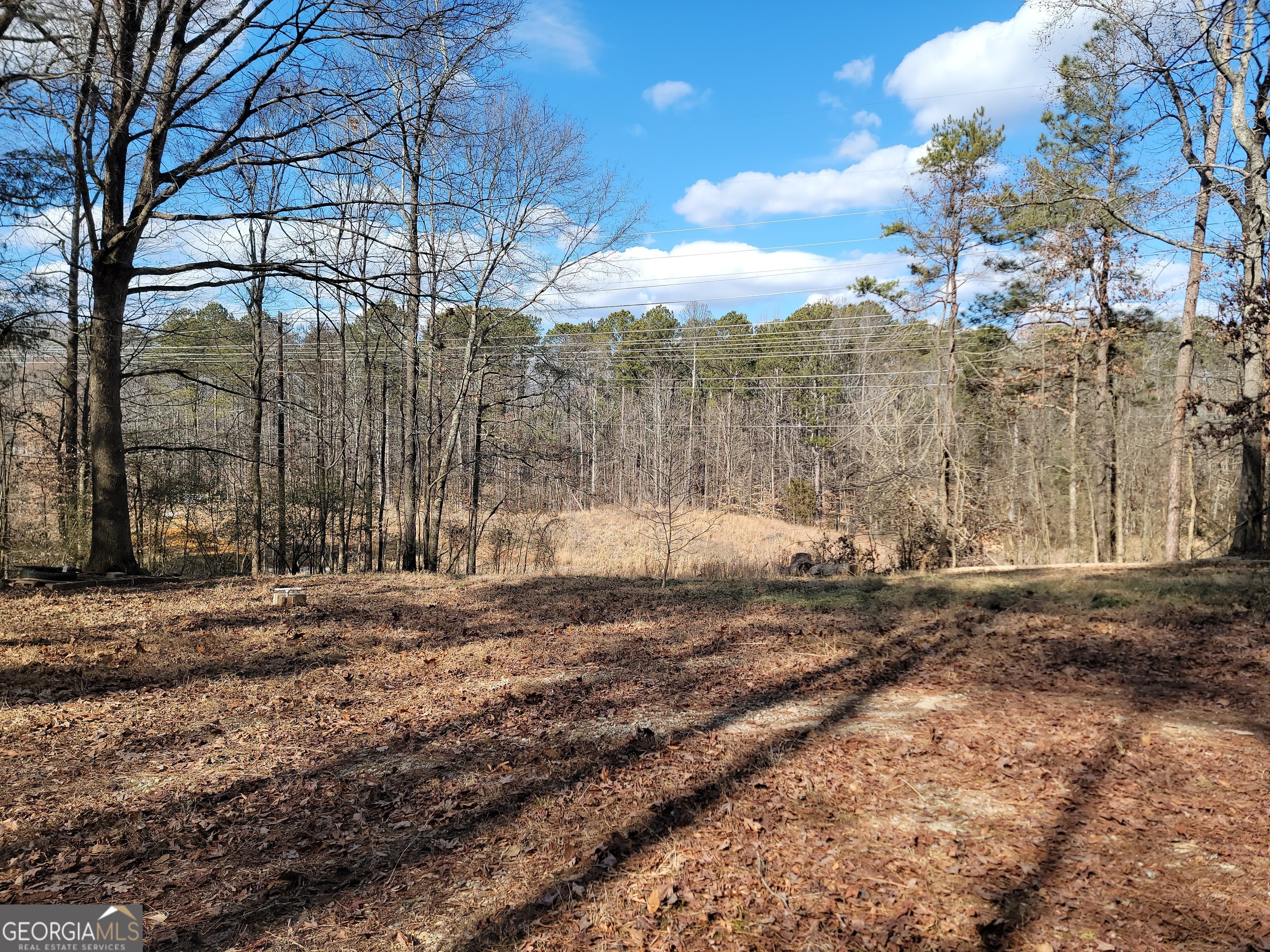 1855 S Flat Rock Road Property Photo 13
