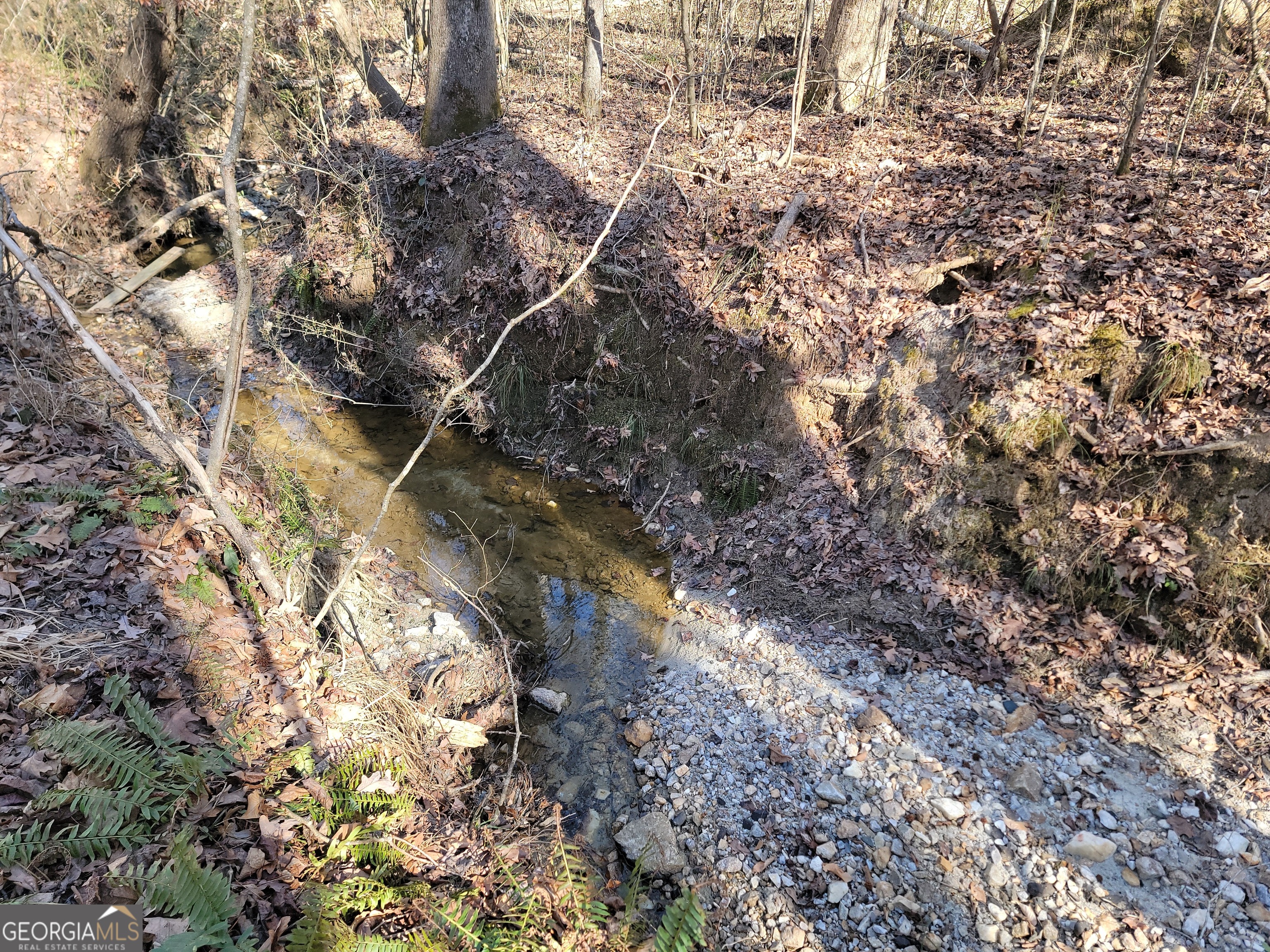1855 S Flat Rock Road Property Photo 16