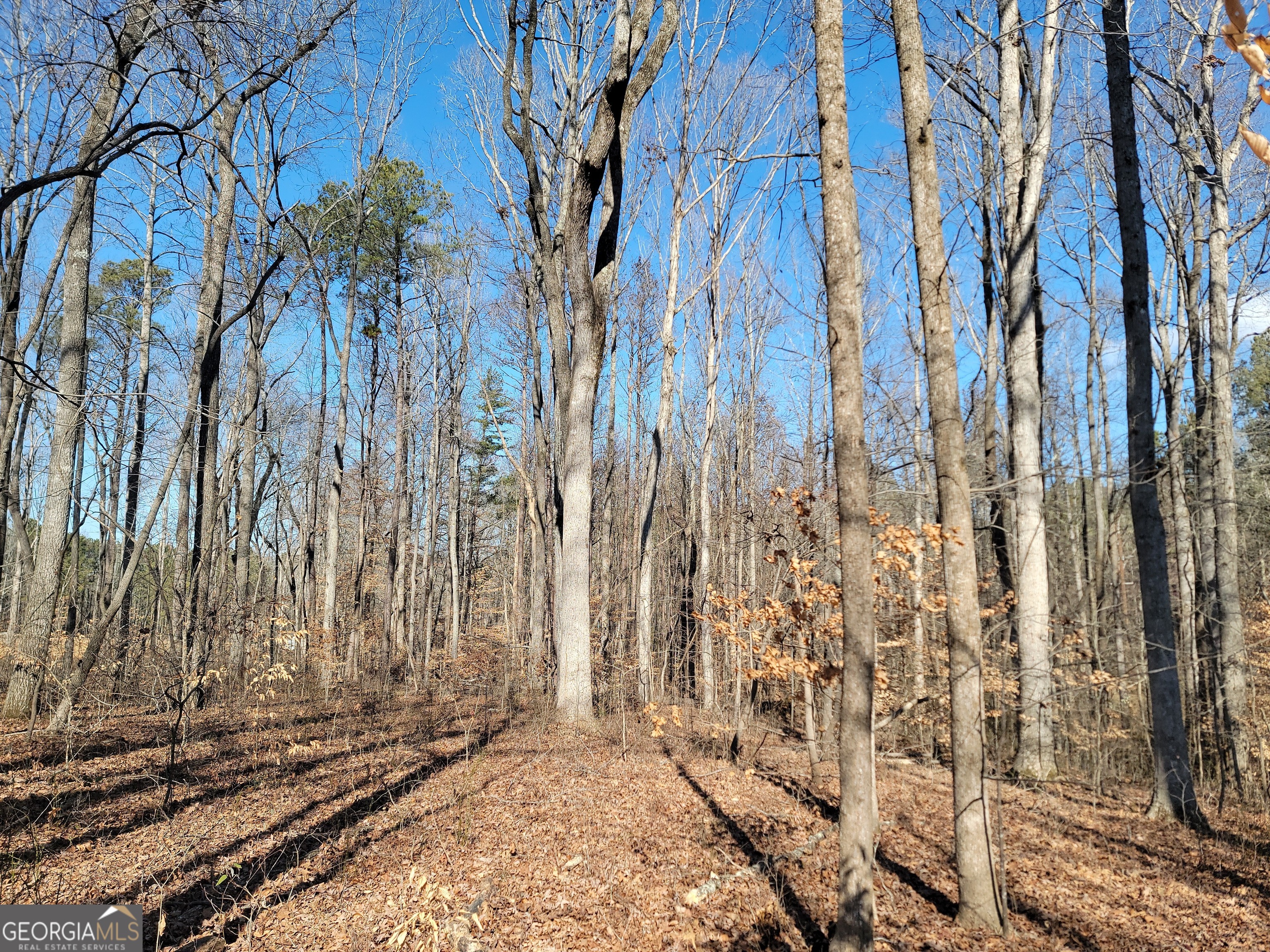 1855 S Flat Rock Road Property Photo 18