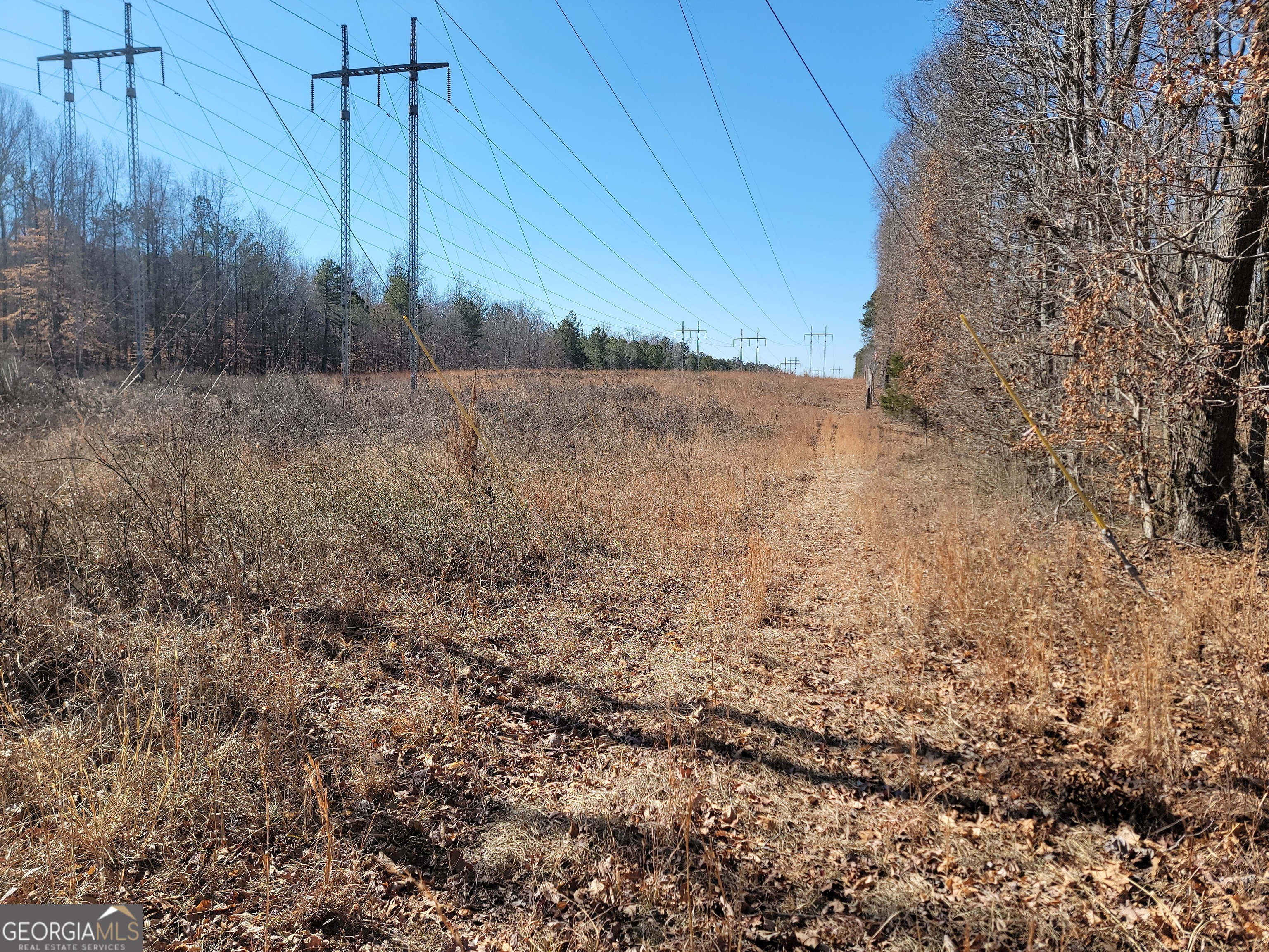 1855 S Flat Rock Road Property Photo 21