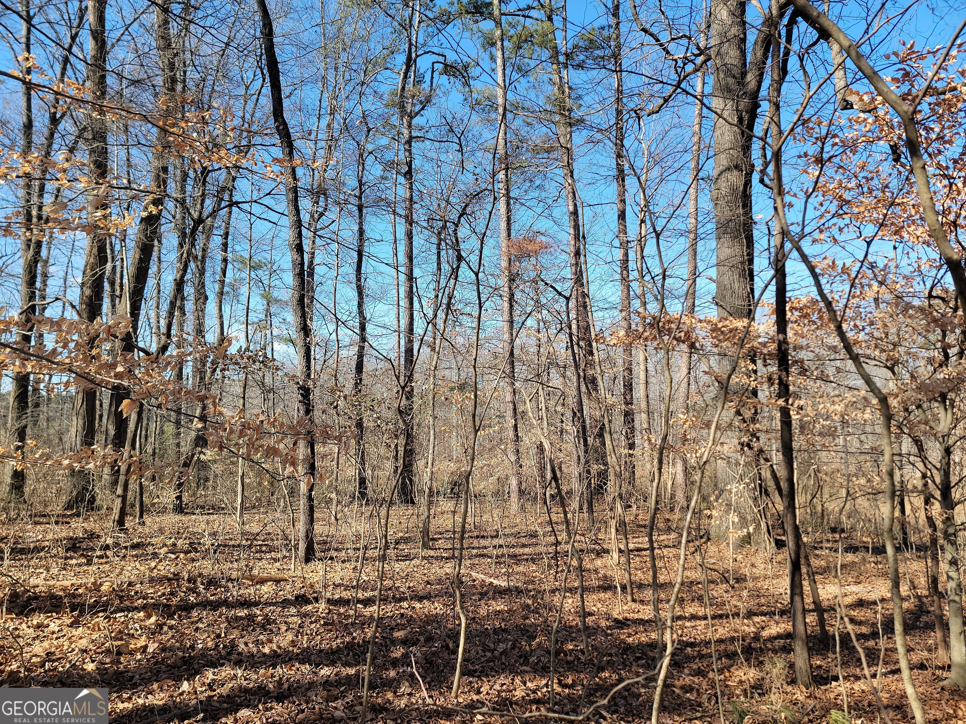 1855 S Flat Rock Road Property Photo 22