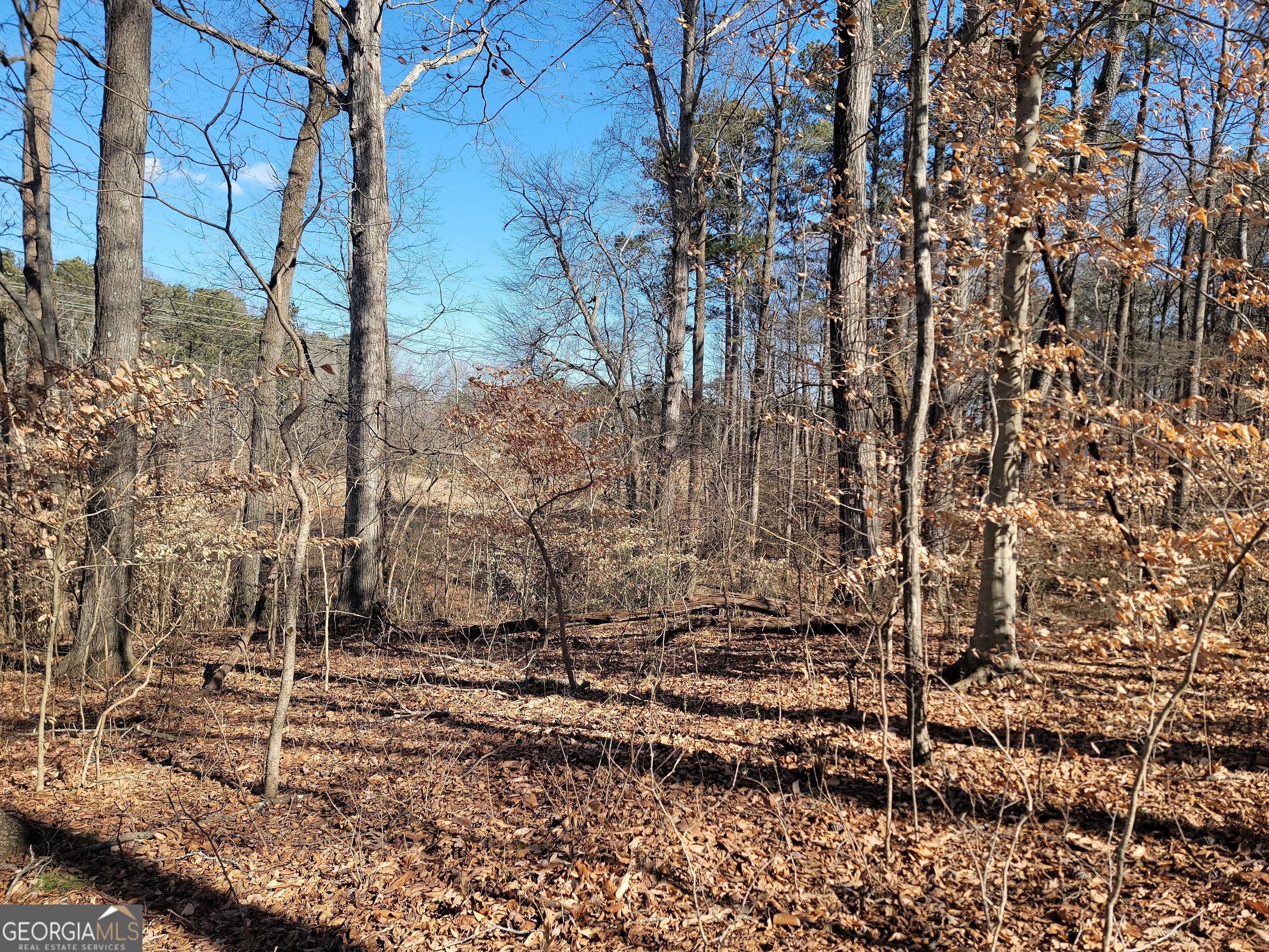1855 S Flat Rock Road Property Photo 23