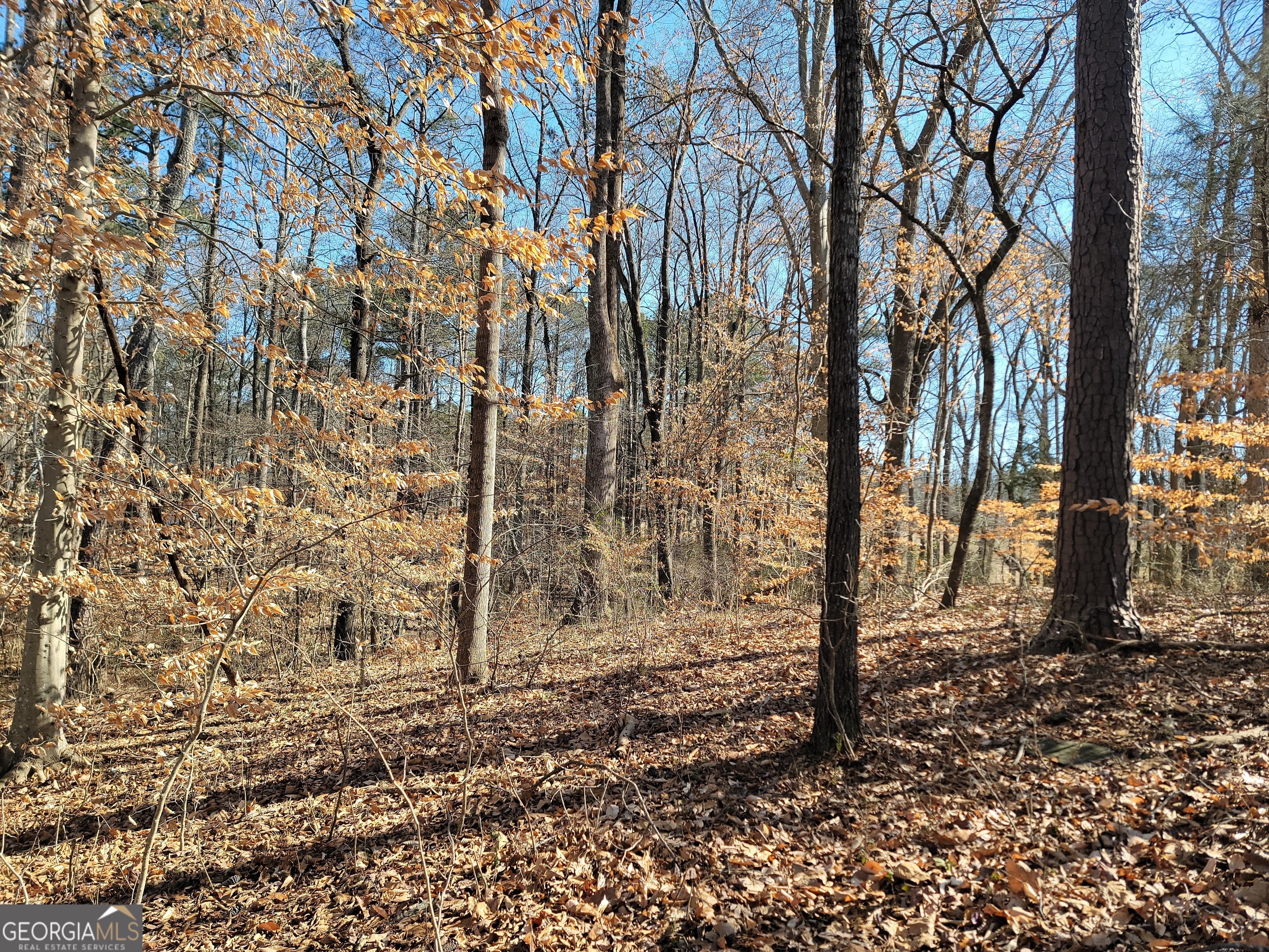 1855 S Flat Rock Road Property Photo 24