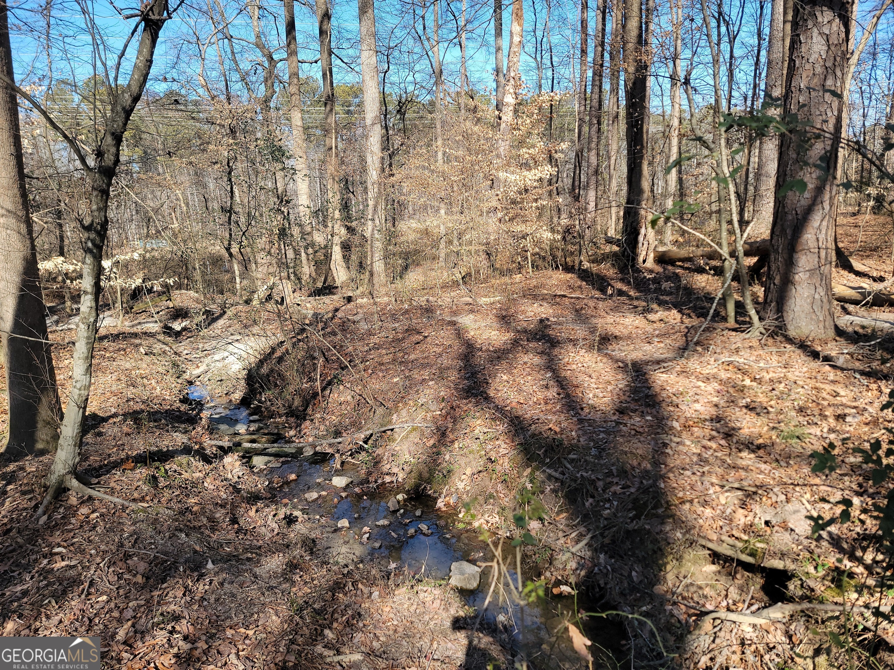 1855 S Flat Rock Road Property Photo 25