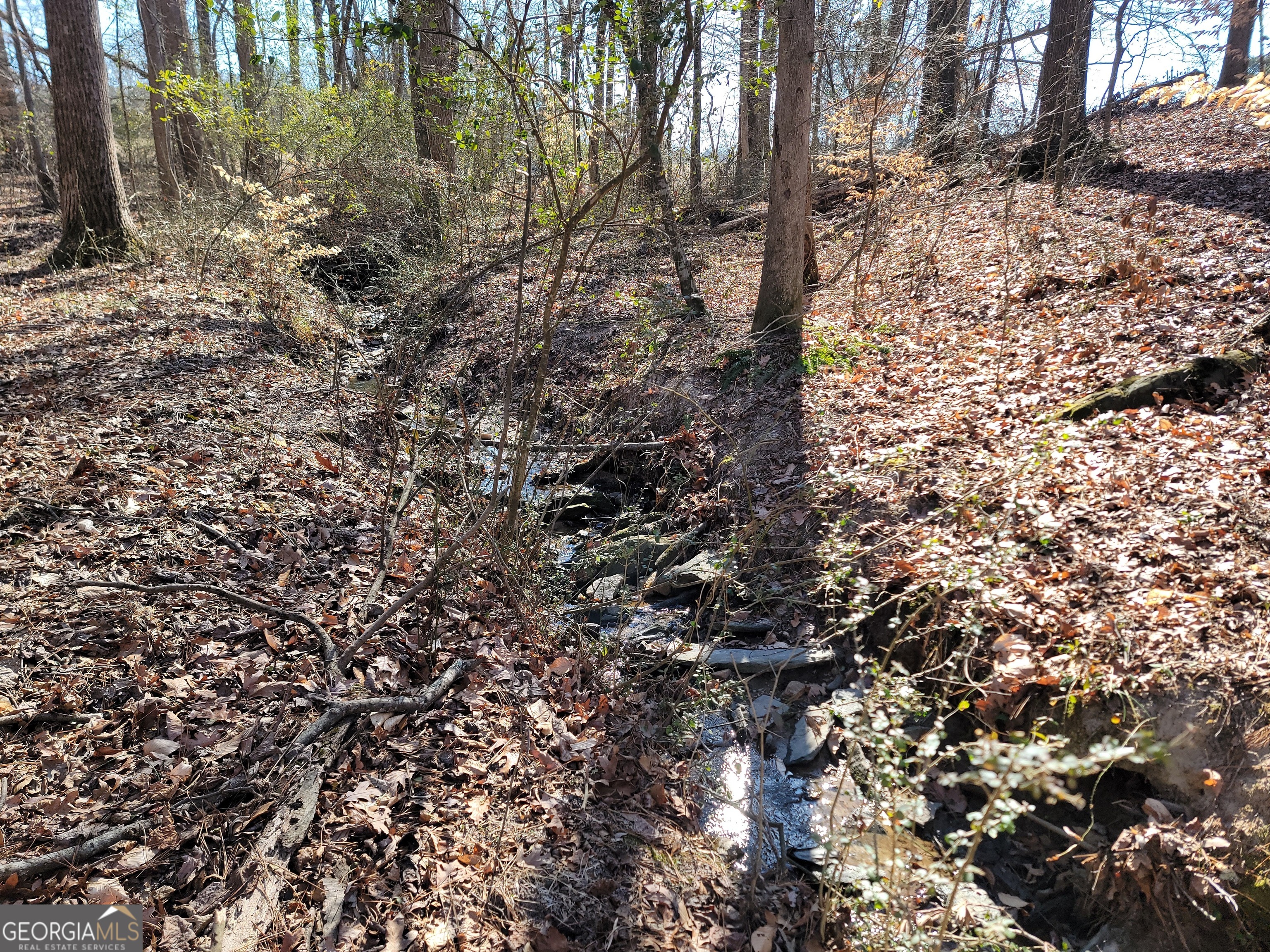 1855 S Flat Rock Road Property Photo 26