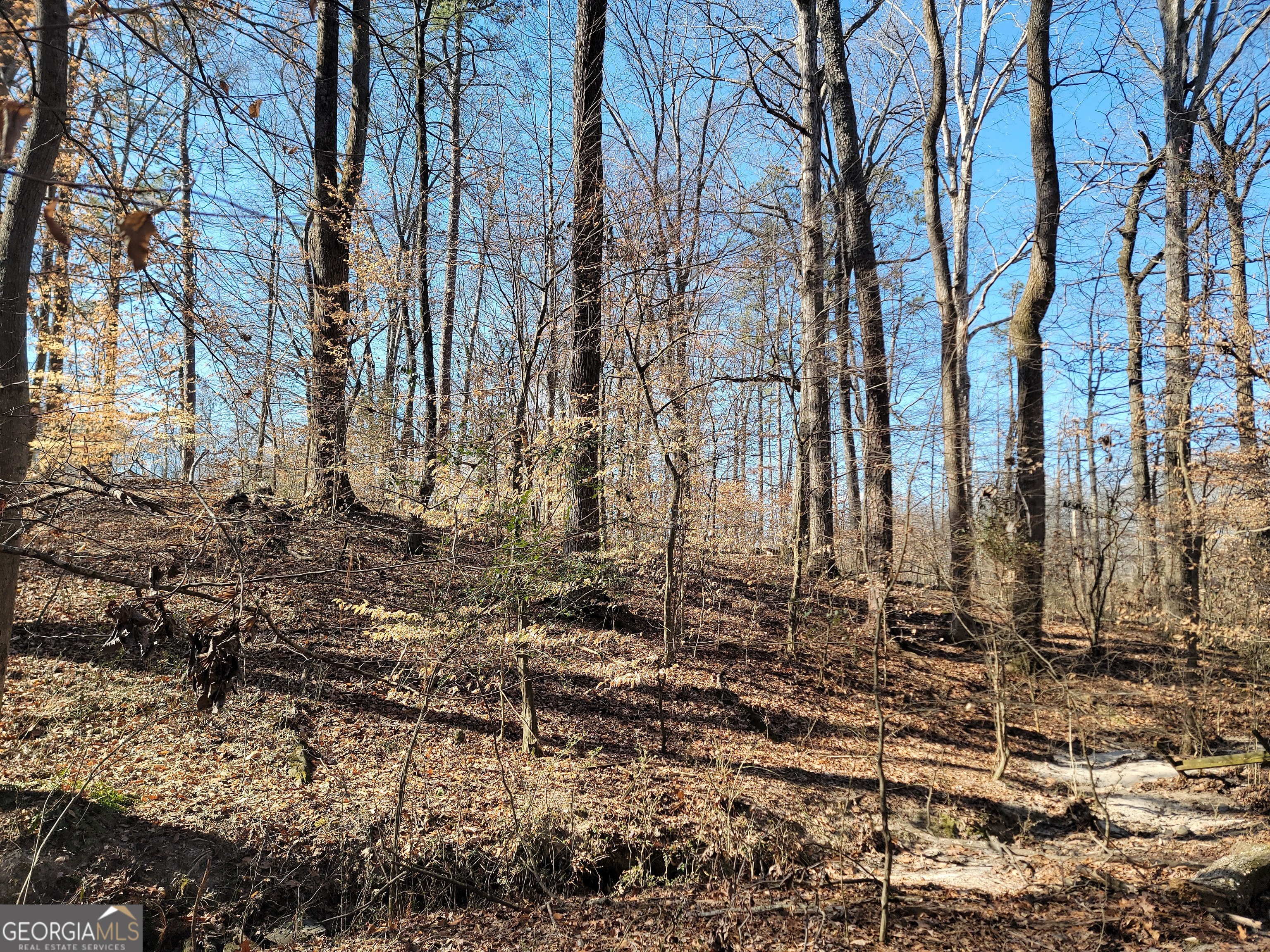 1855 S Flat Rock Road Property Photo 27