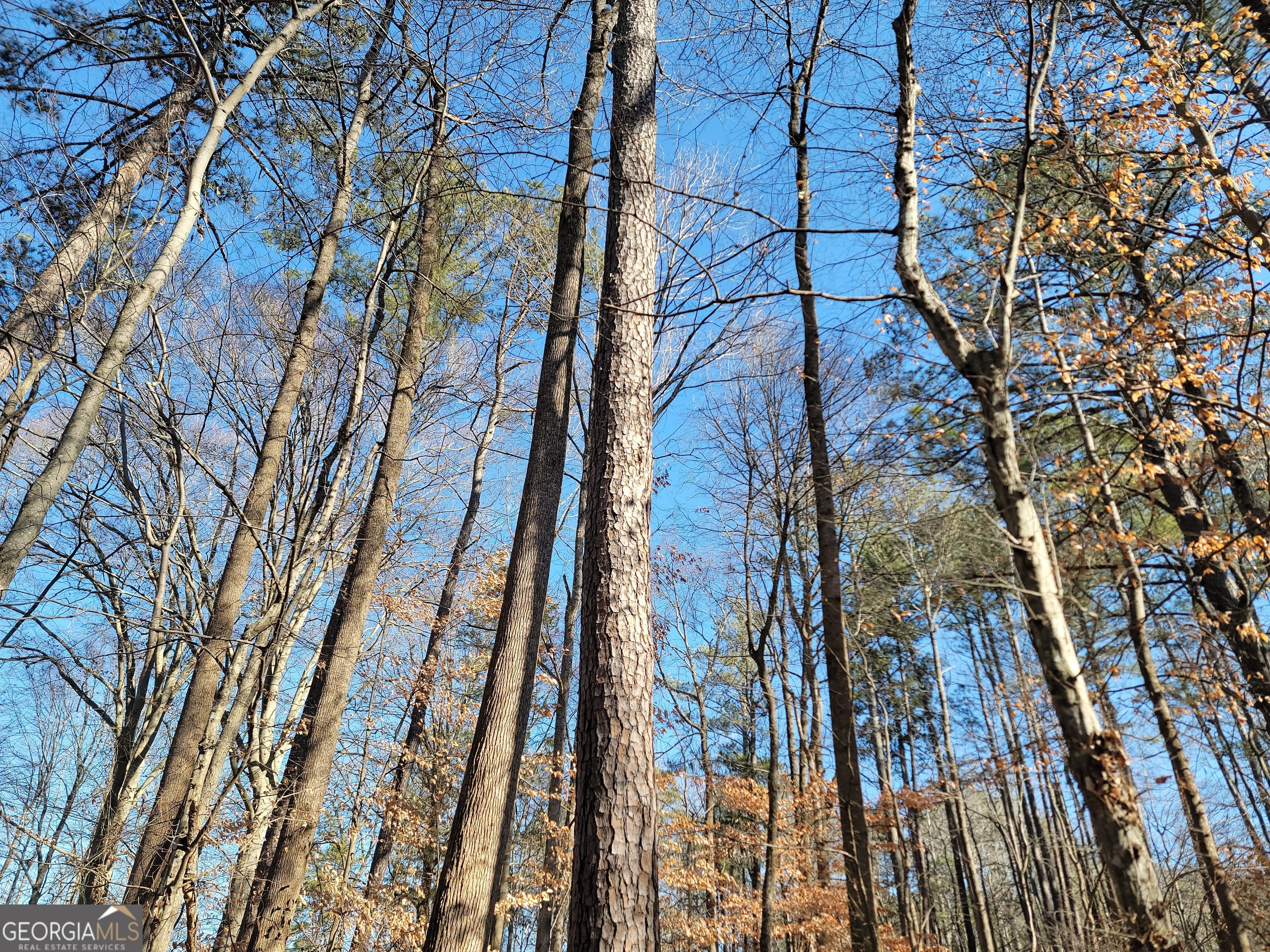 1855 S Flat Rock Road Property Photo 28