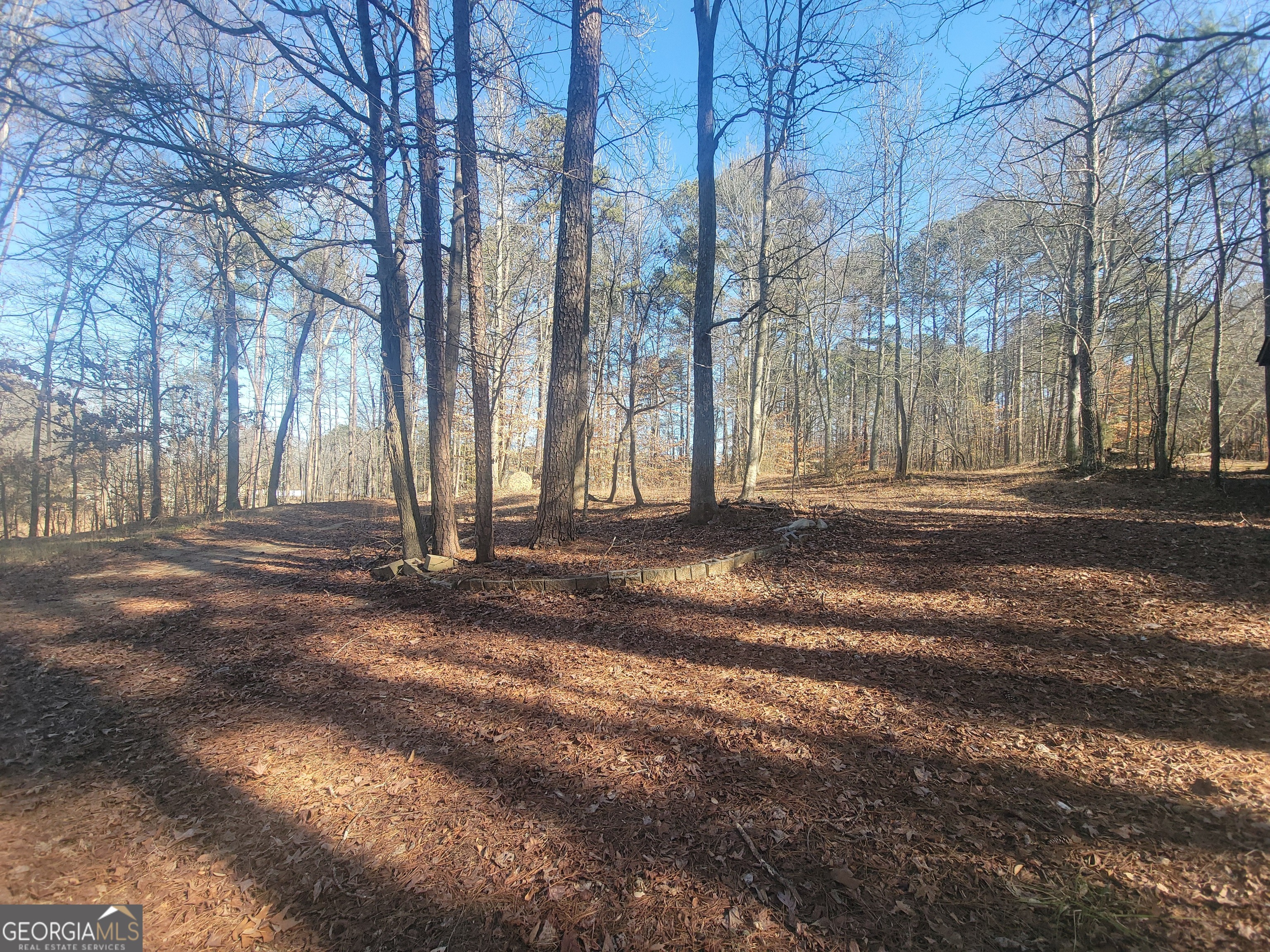 1855 S Flat Rock Road Property Photo 29