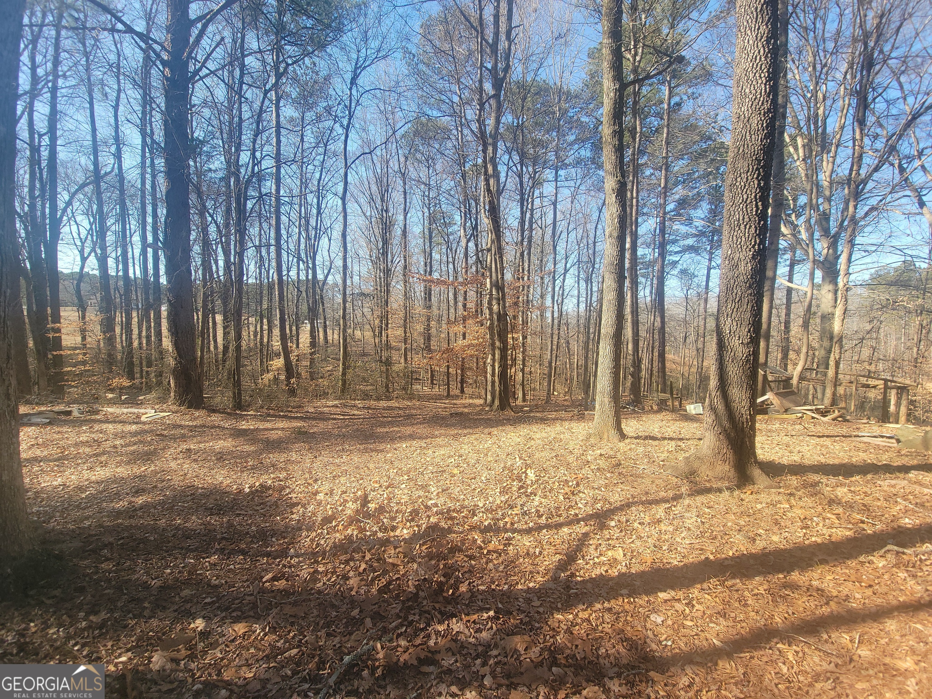 1855 S Flat Rock Road Property Photo 30