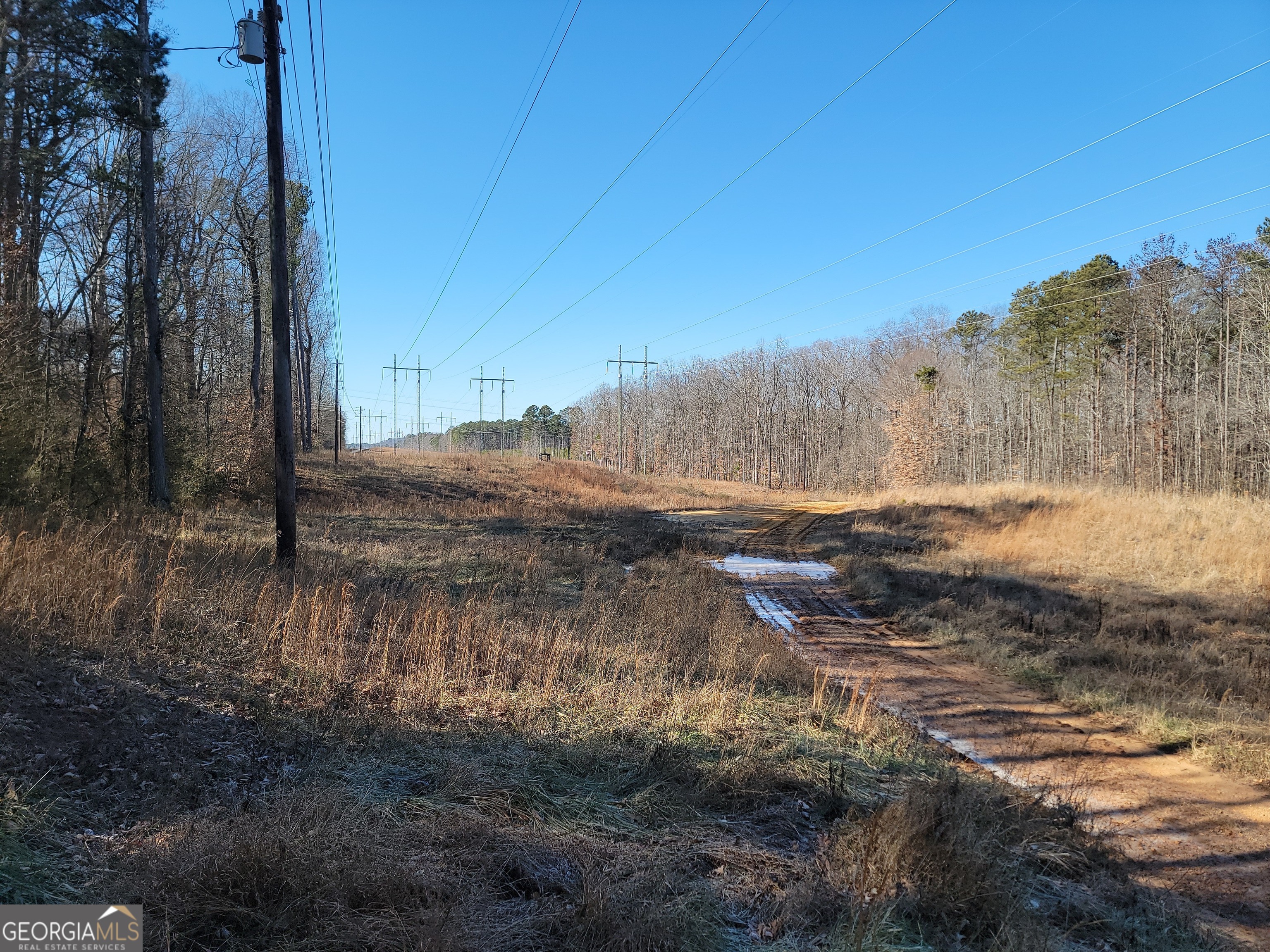 1855 S Flat Rock Road Property Photo 31
