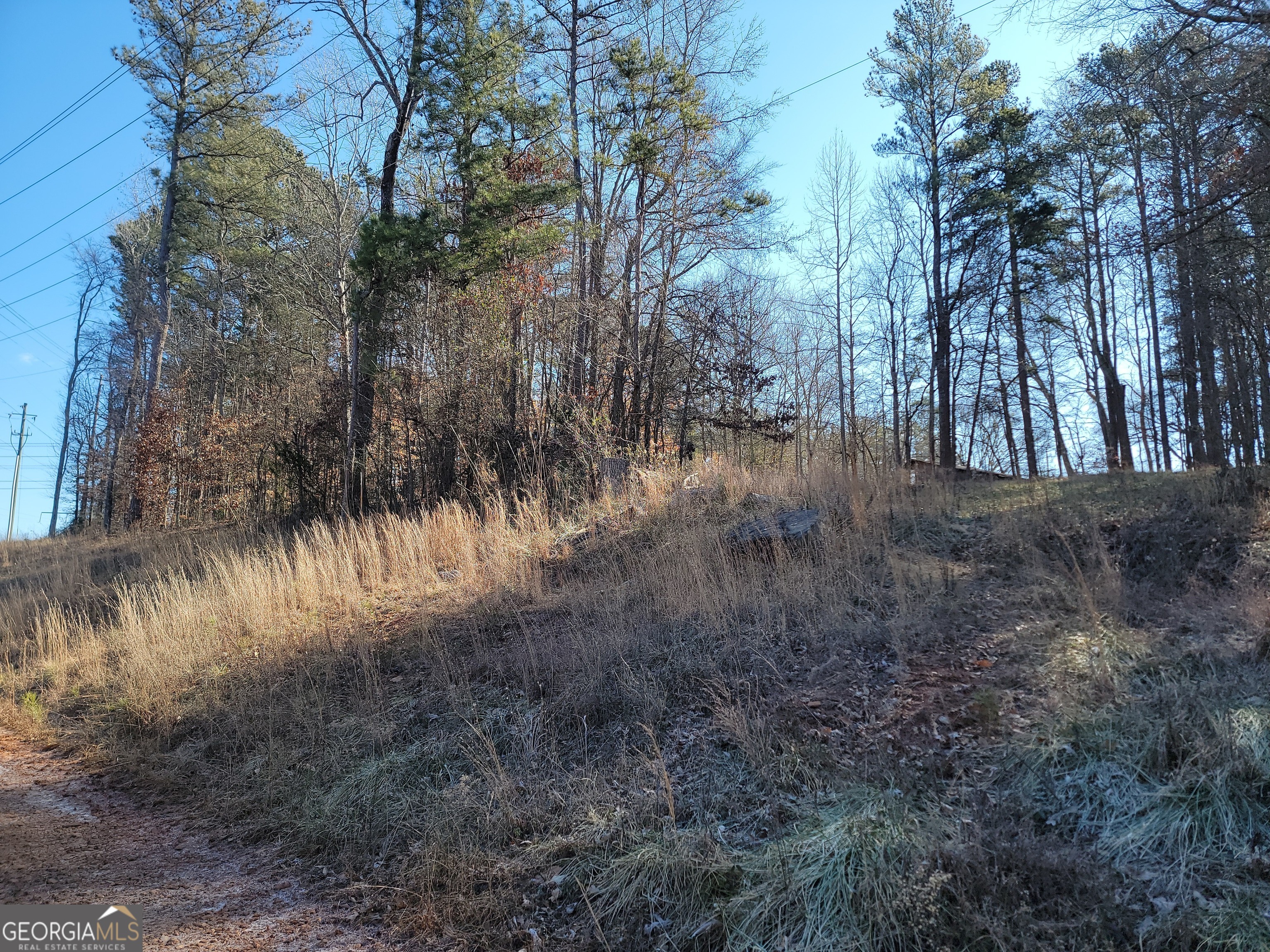 1855 S Flat Rock Road Property Photo 32