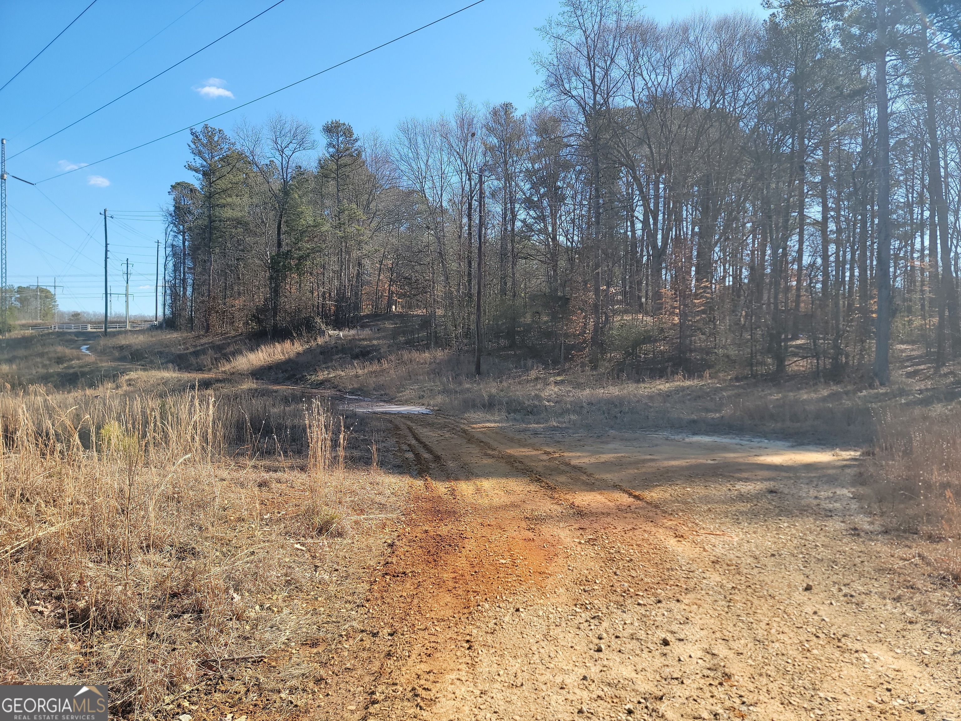 1855 S Flat Rock Road Property Photo 33