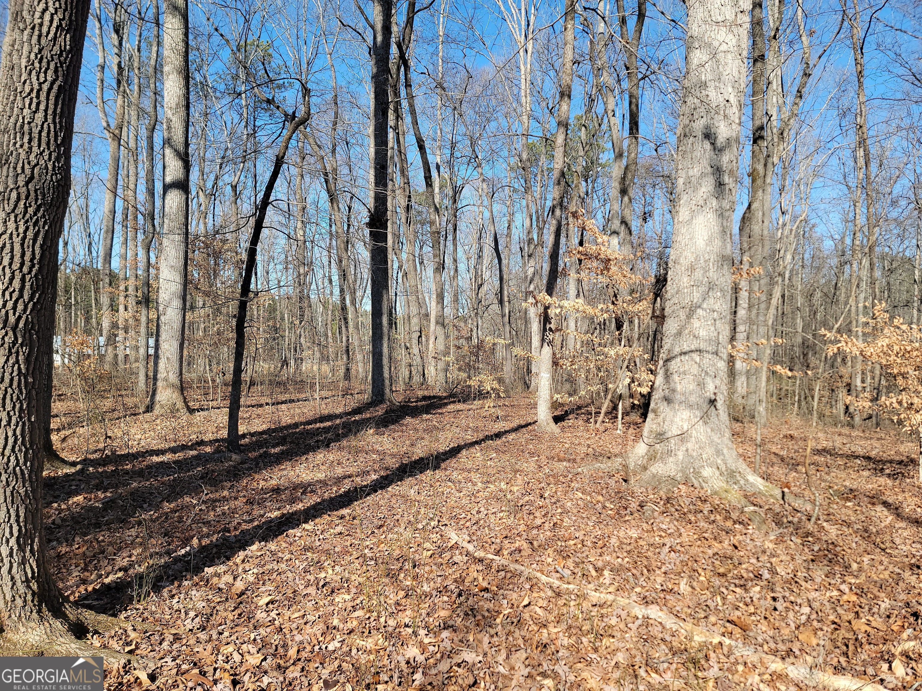 1855 S Flat Rock Road Property Photo 34