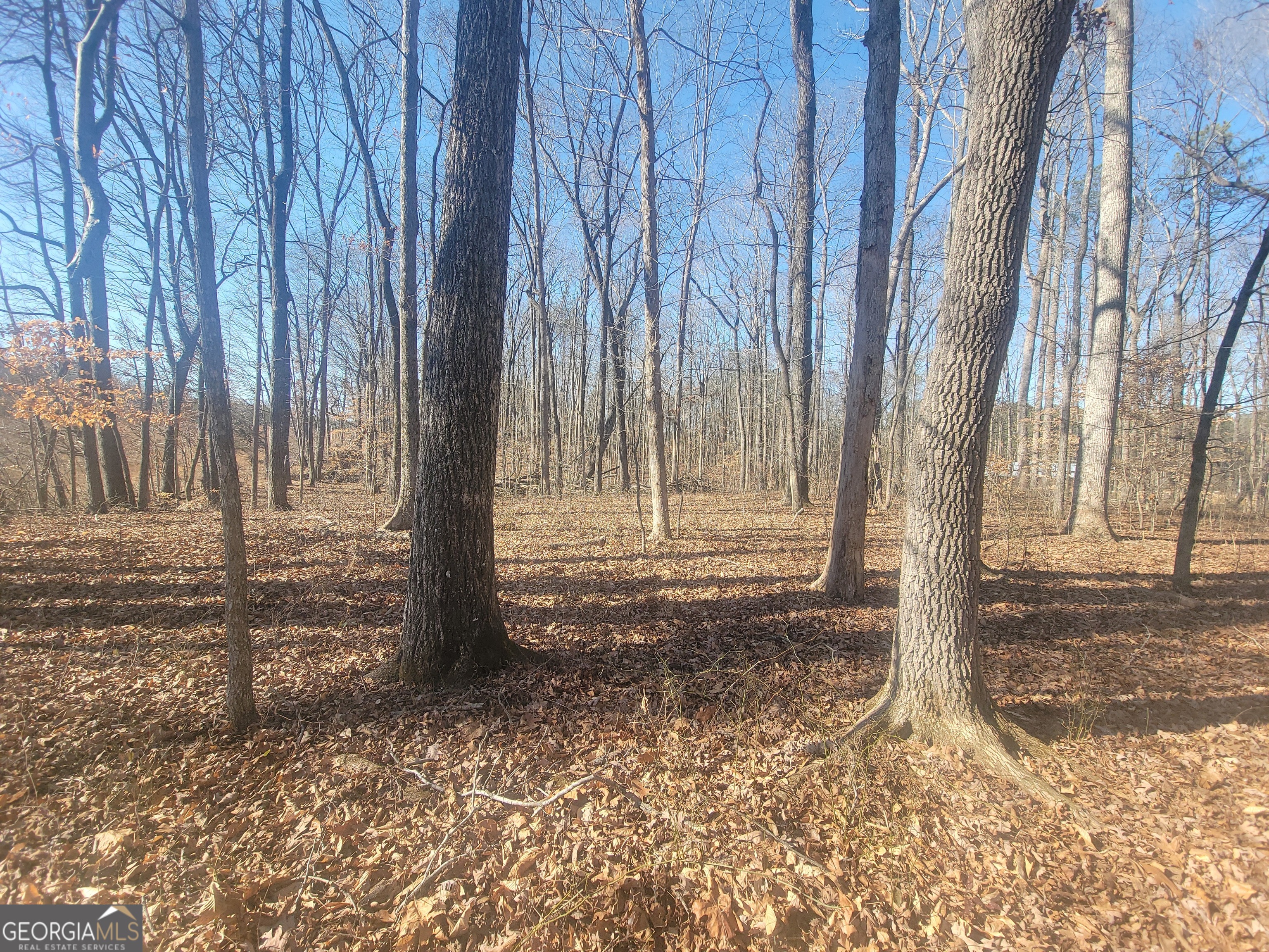 1855 S Flat Rock Road Property Photo 35