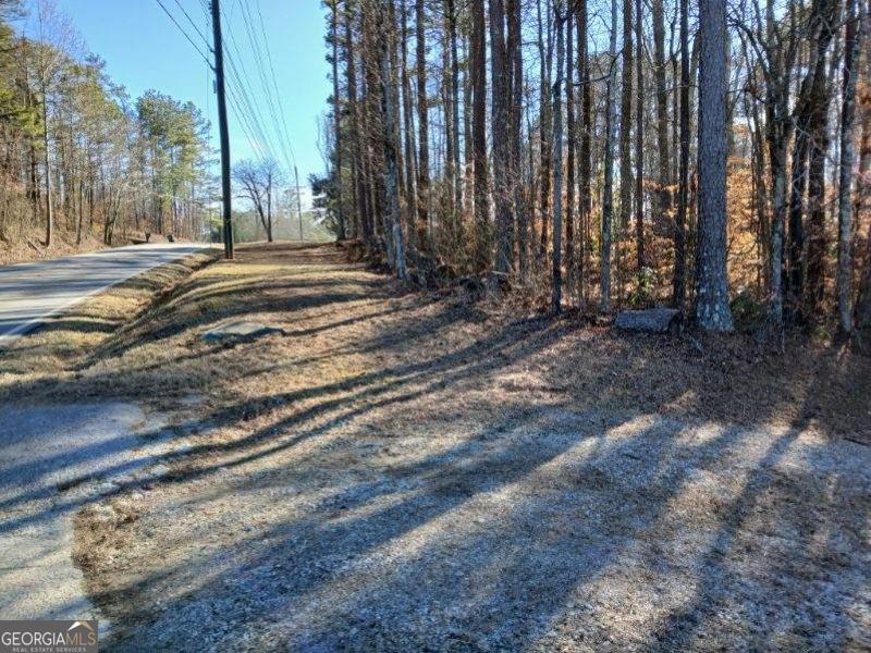 1855 S Flat Rock Road Property Photo 37