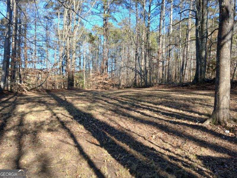 1855 S Flat Rock Road Property Photo 38