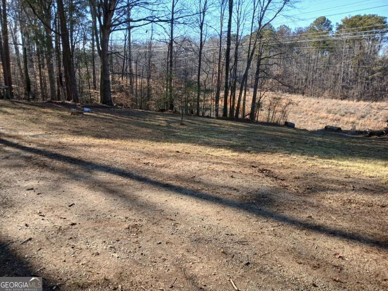 1855 S Flat Rock Road Property Photo 39