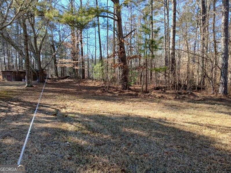 1855 S Flat Rock Road Property Photo 40