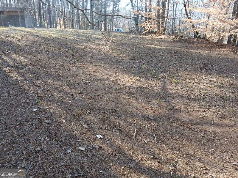 1855 S Flat Rock Road Property Photo 41